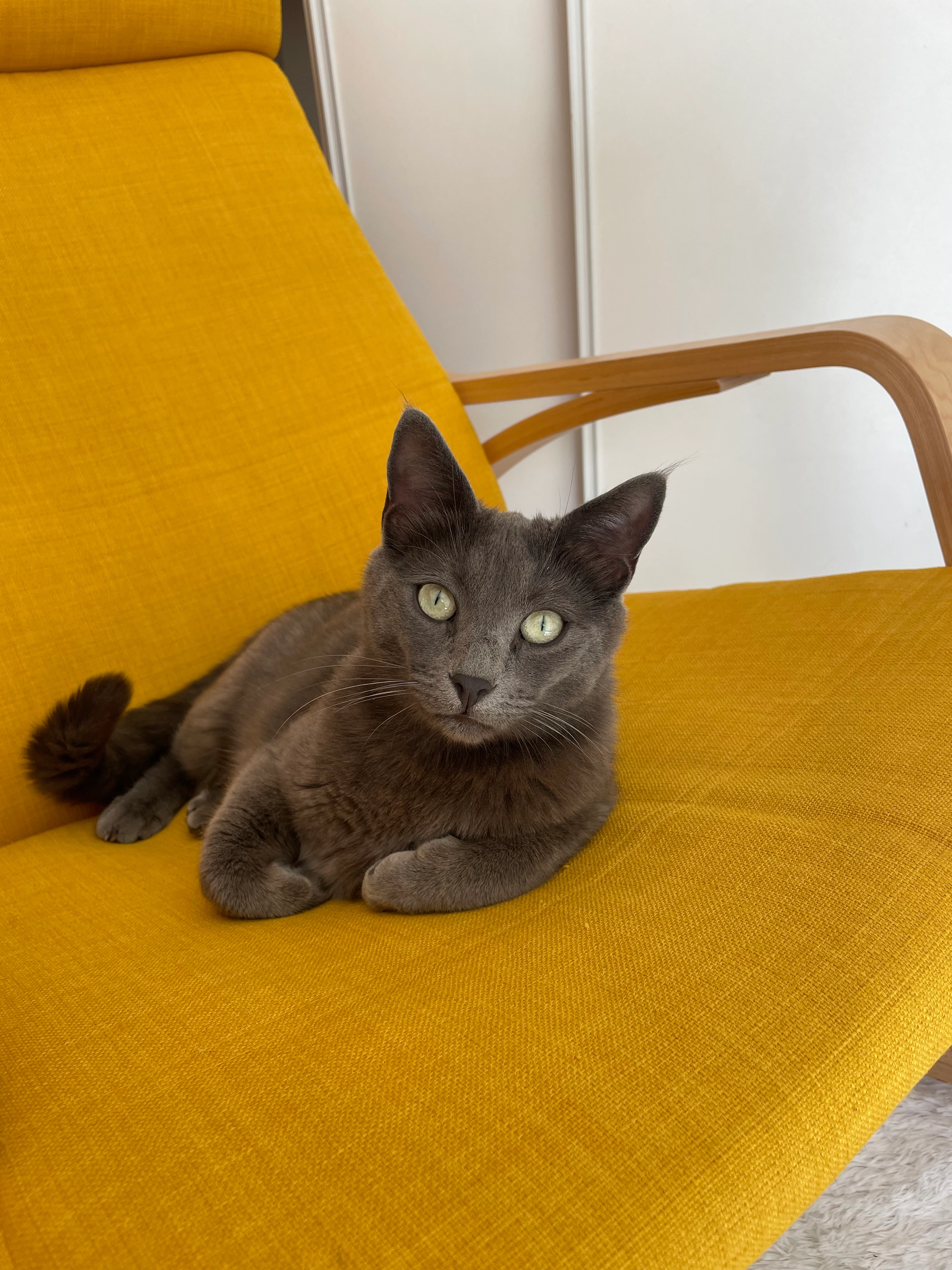 Tekila  - Allée Jean Zay, Draguignan