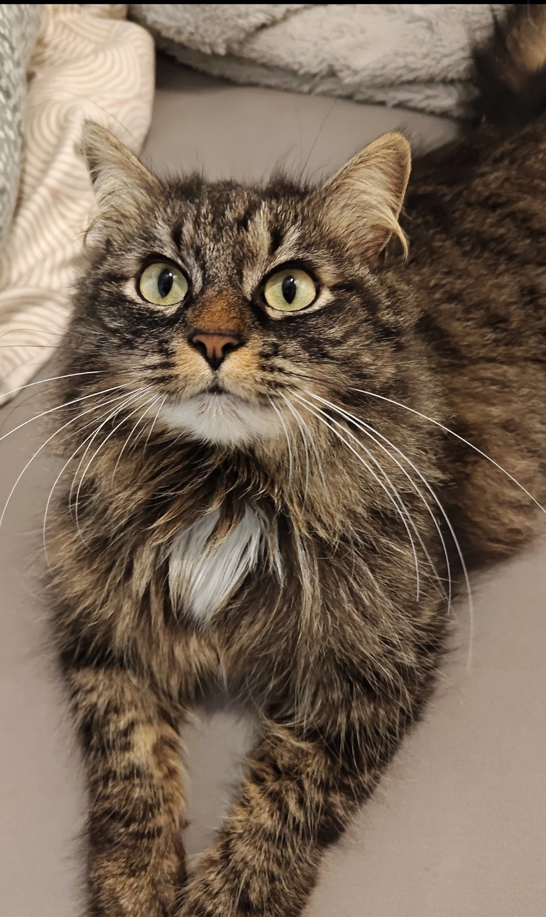 Pucci  - Rue Fleurie, Riddes