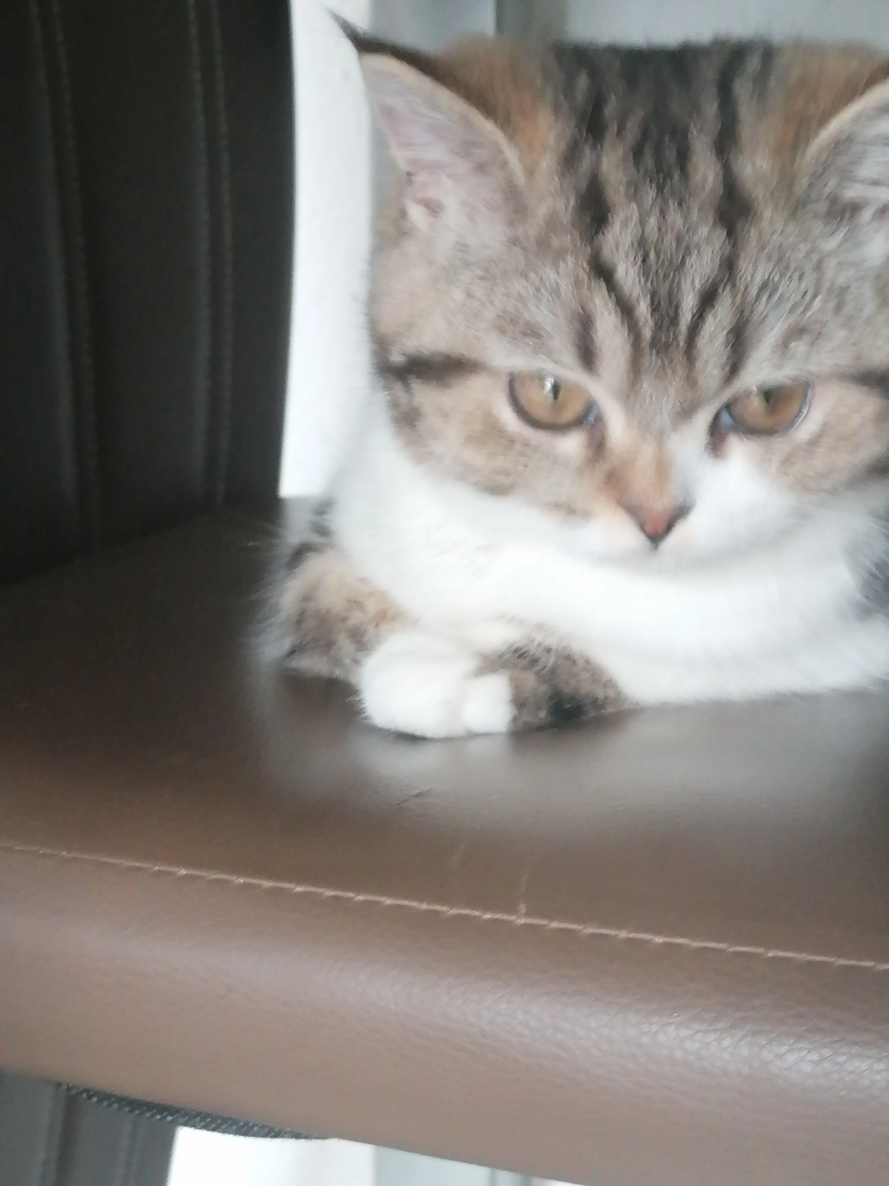 Sirin - Heinestraße, Reutlingen