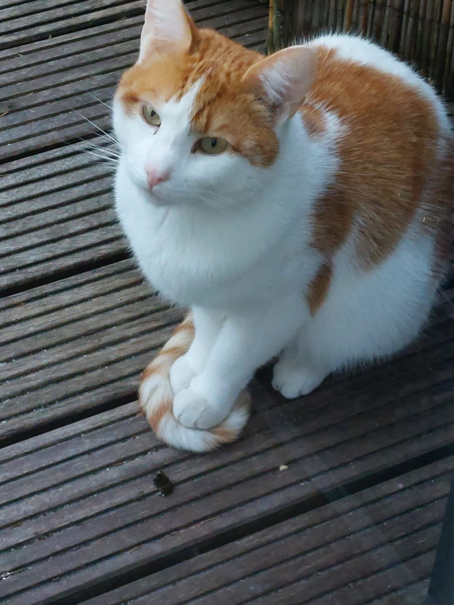 Rico - Giehler Straße, Gnarrenburg