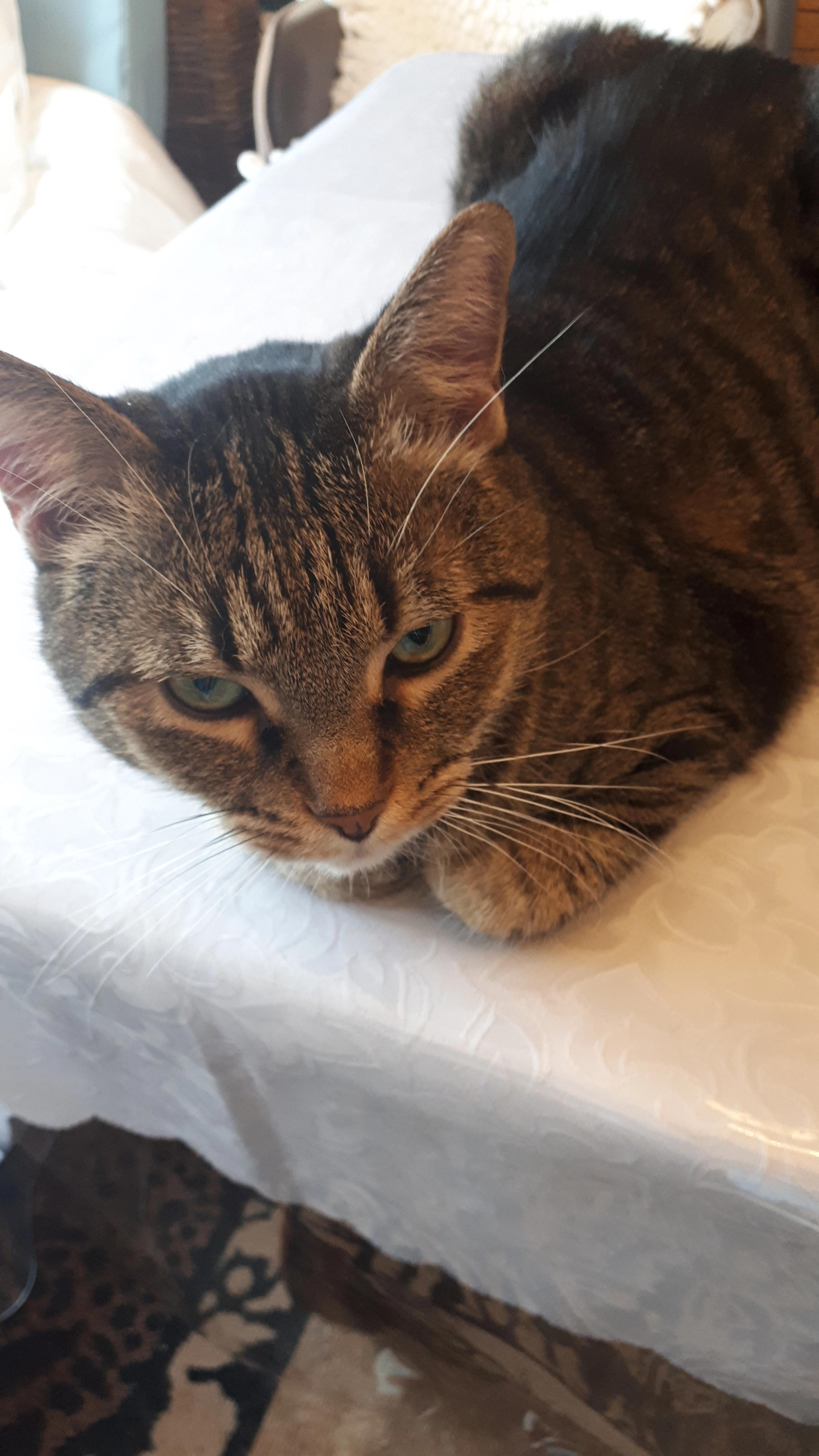 Siska - Chemin de la Cayôde 60, Charleroi