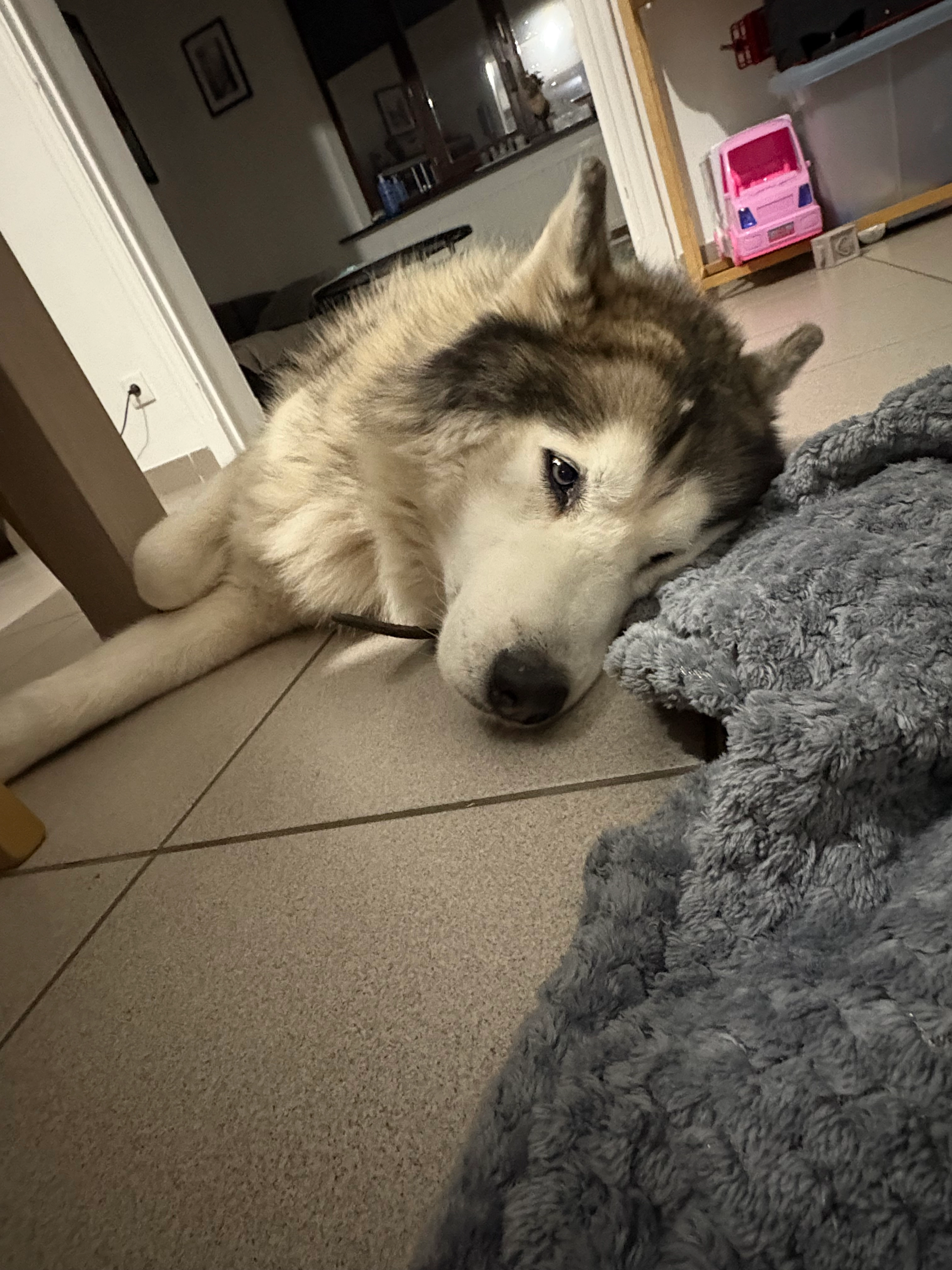 Shadow - Rue Oscar Quertinmont, La Louvière