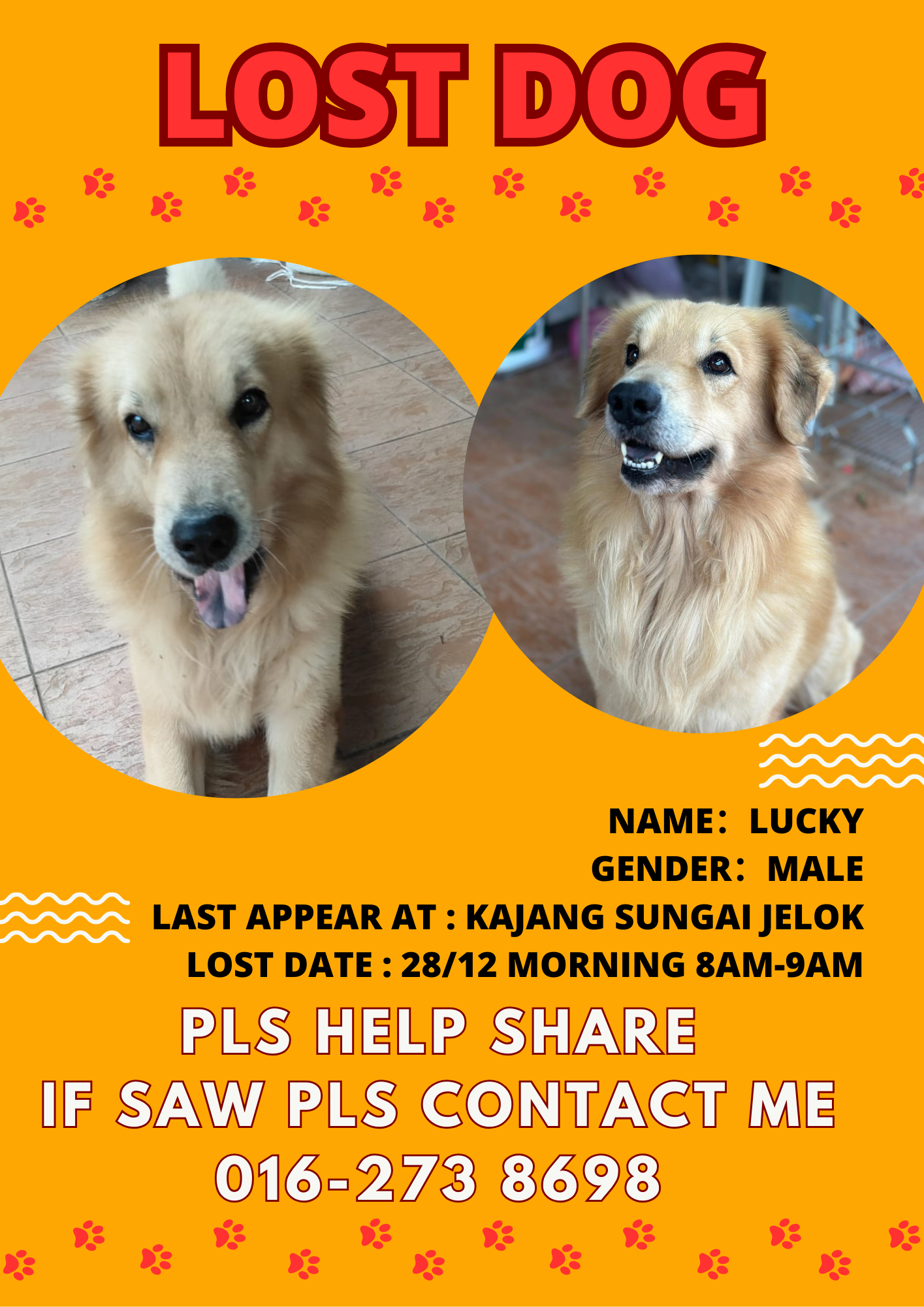 lucky - 43000, Kajang