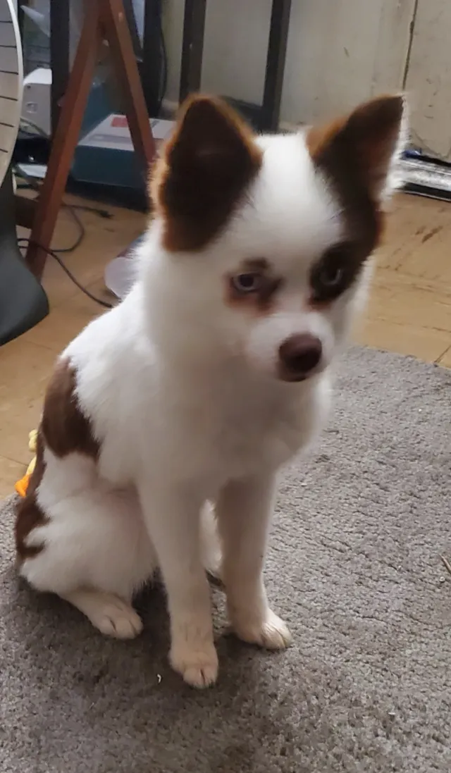 BELLA - Conway Dr, Riverside
