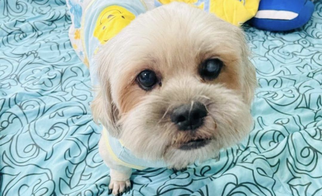 Lucky - Jalan 18/46, Serdang