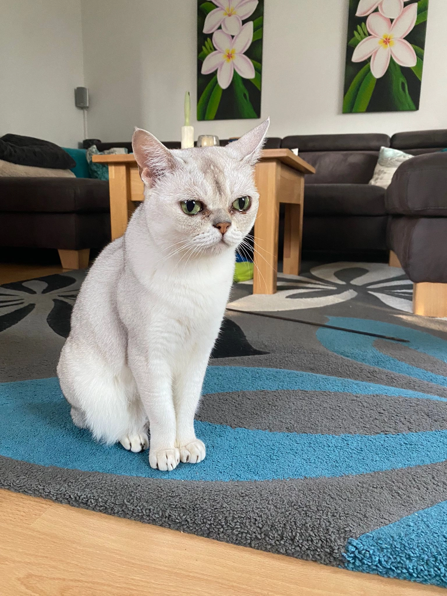 Loki - Höflinger Ring, Obertraubling