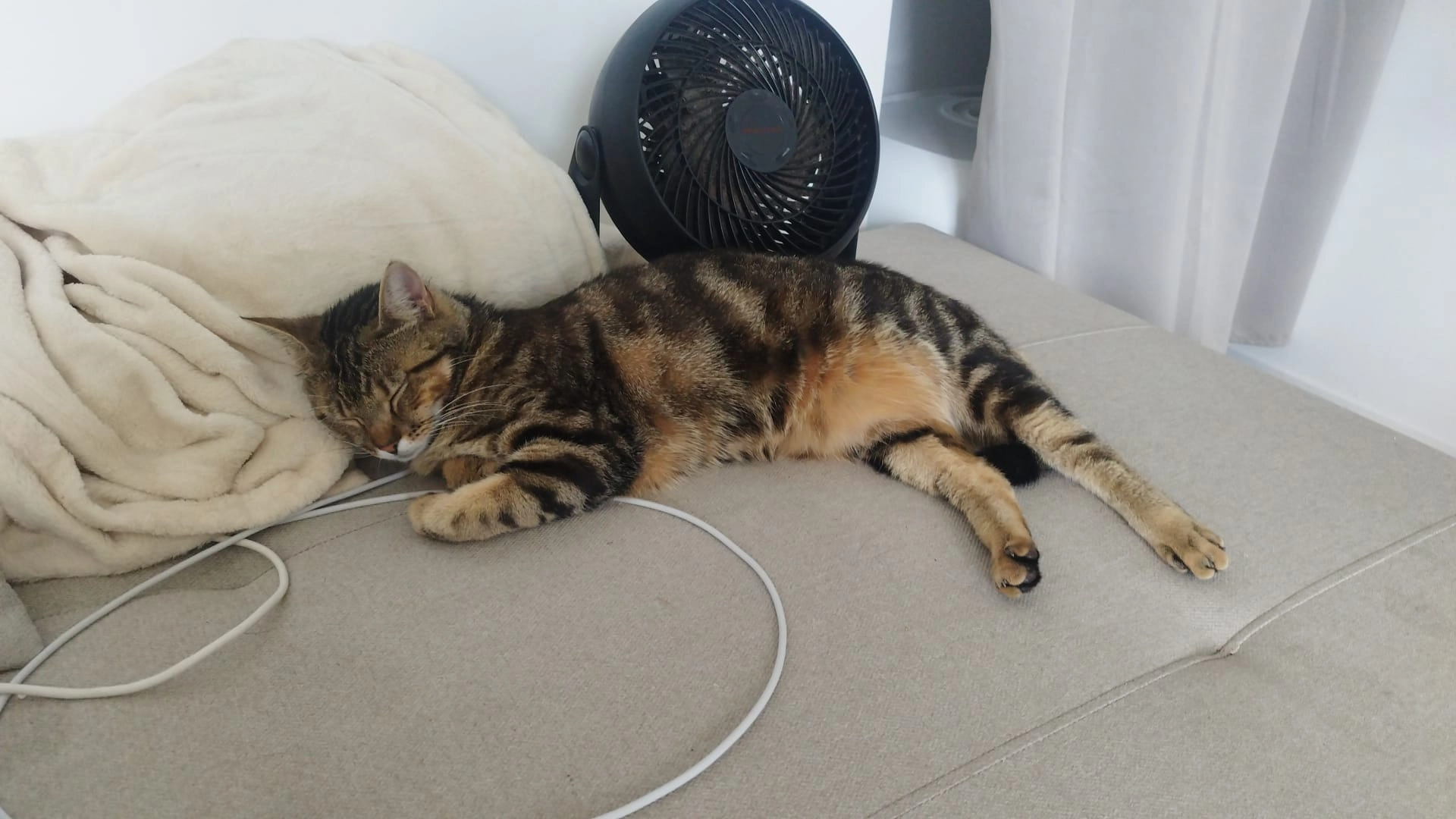 Kira - 30 Rue Auguste Renoir, Fondettes