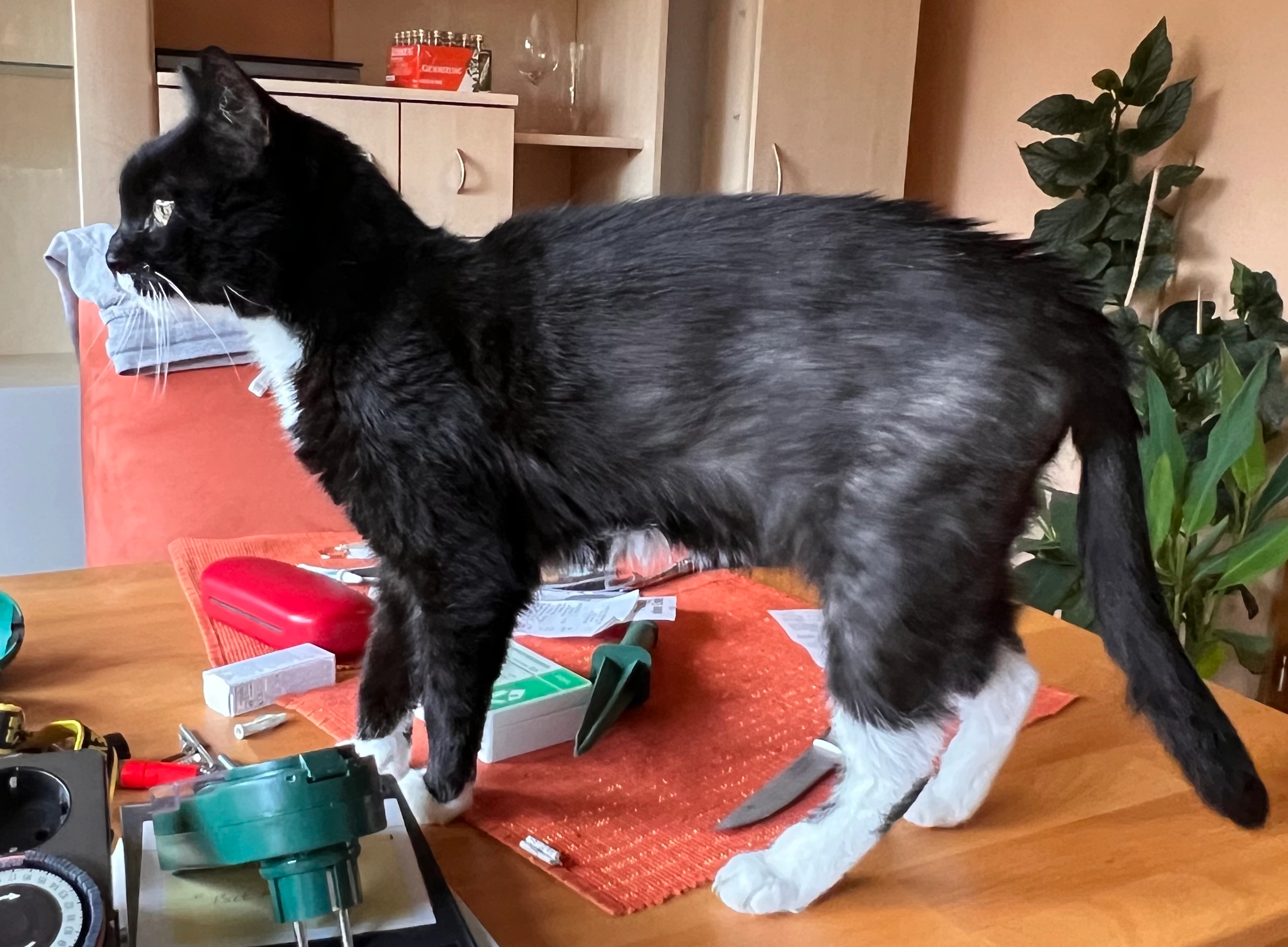 John - Allerweg, Hambühren