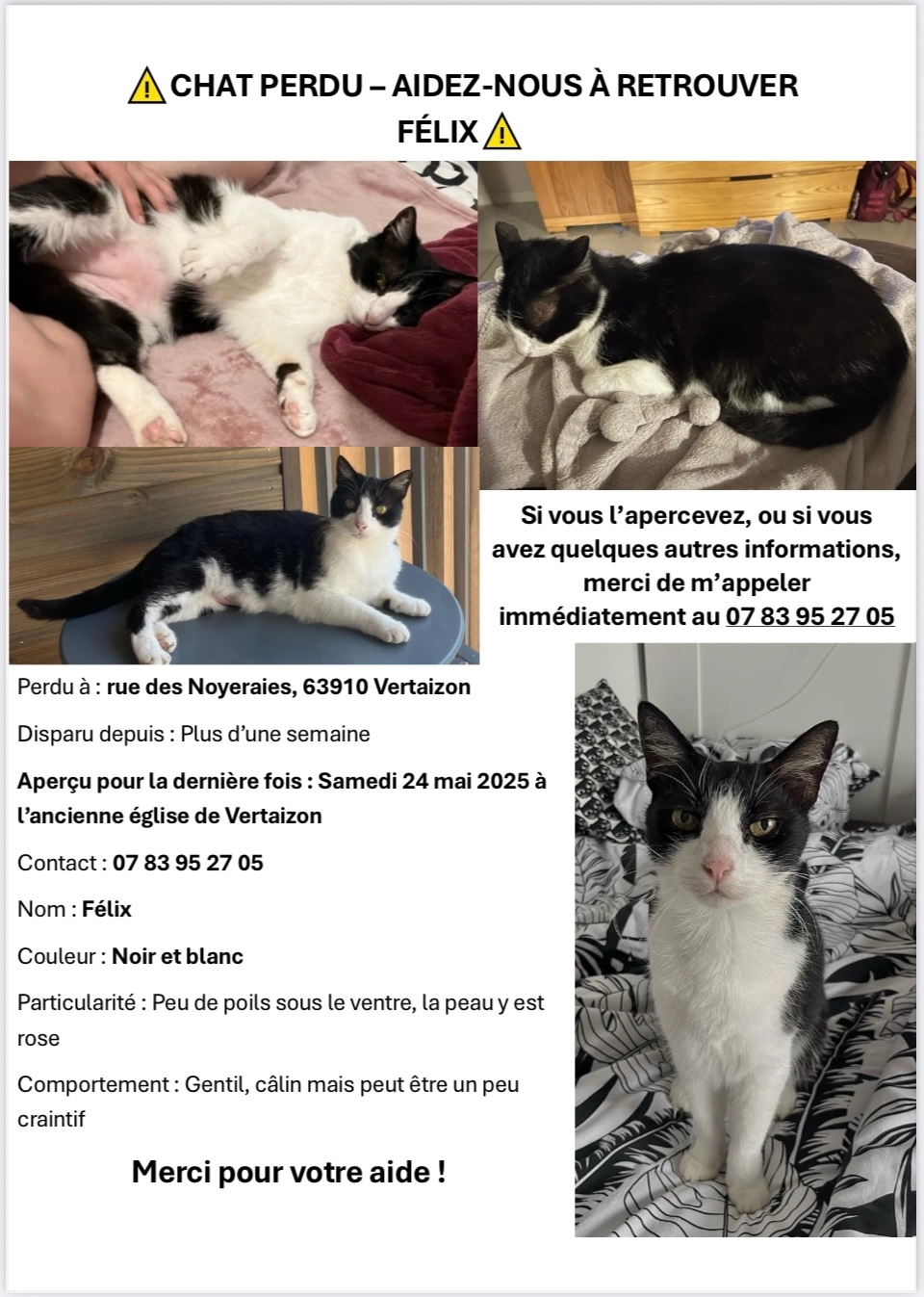 Félix - Impasse du Volpailloux, Vertaizon