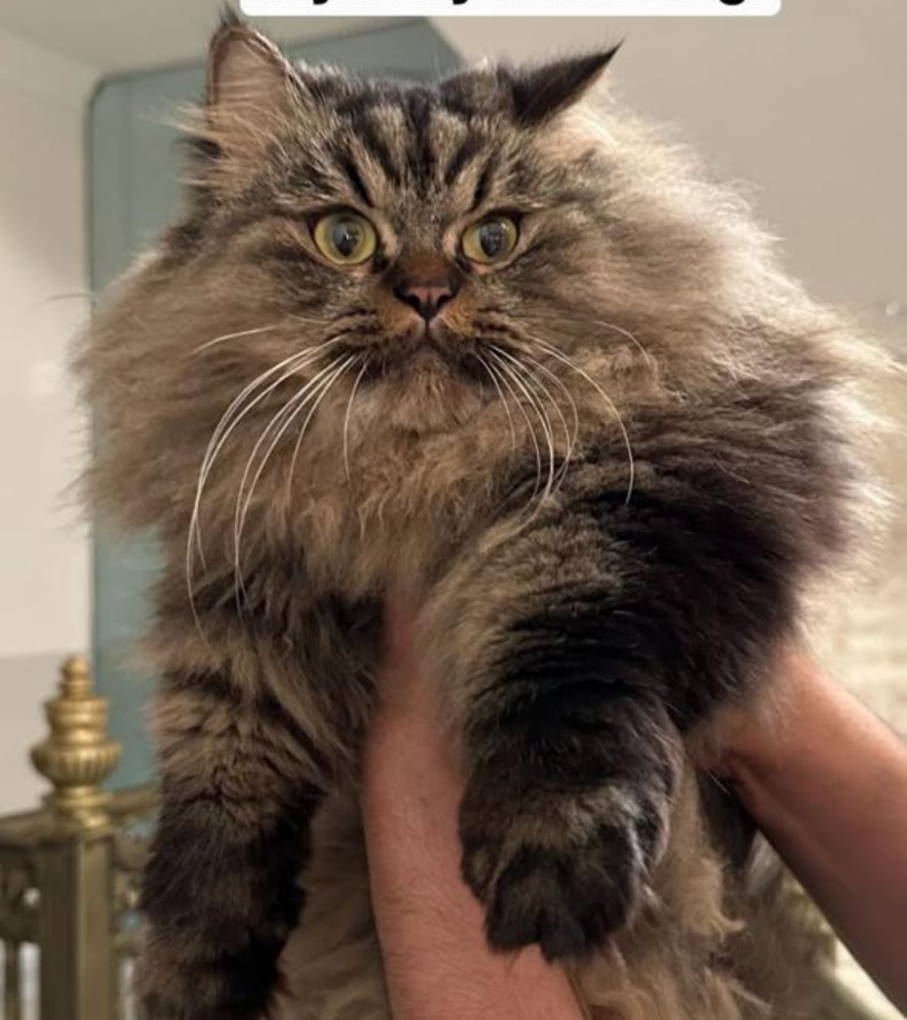 Harry al sibaii - Khora Creek, Basra