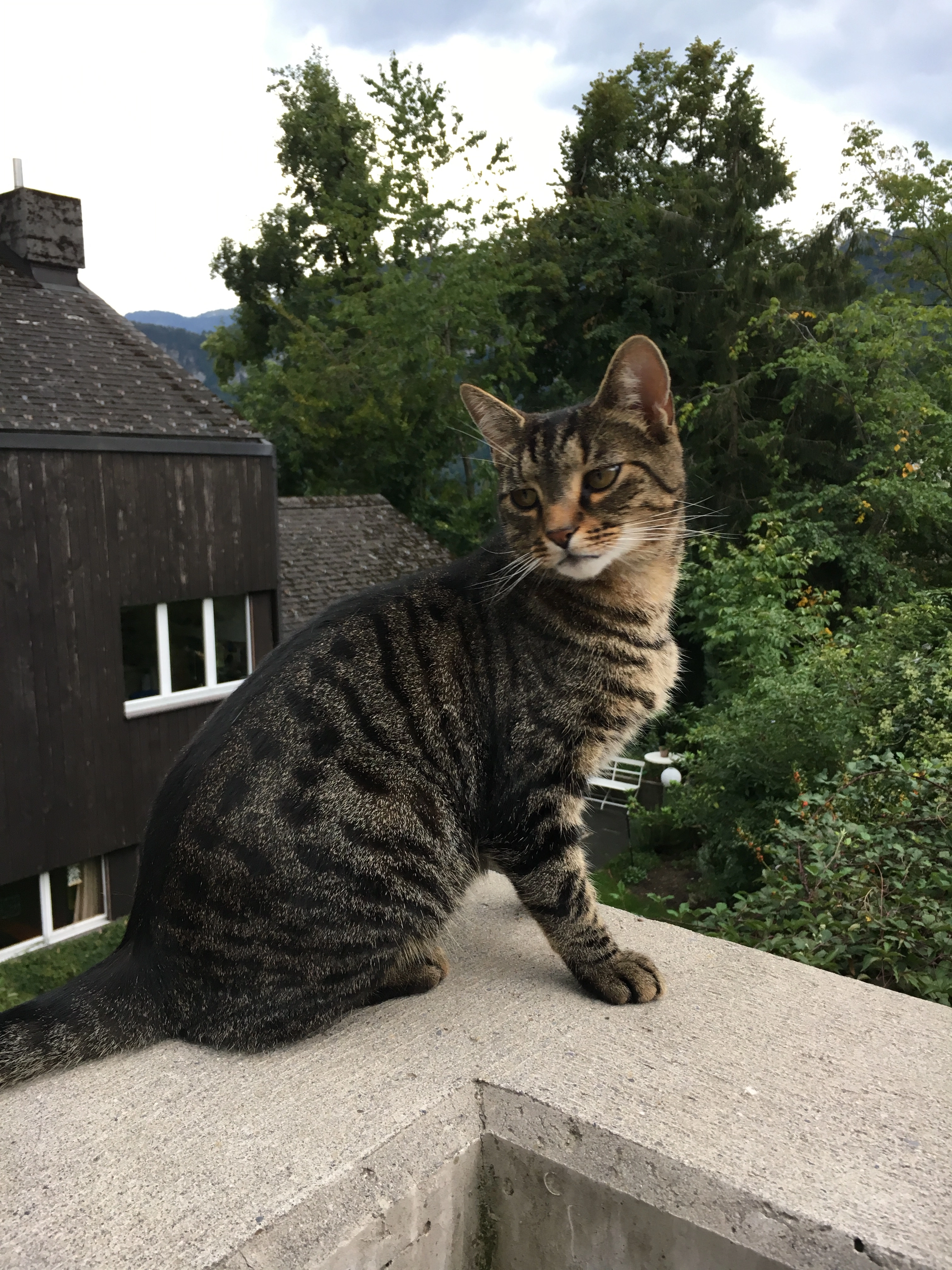 Billy - Sonnenbergstrasse 39, Hergiswil