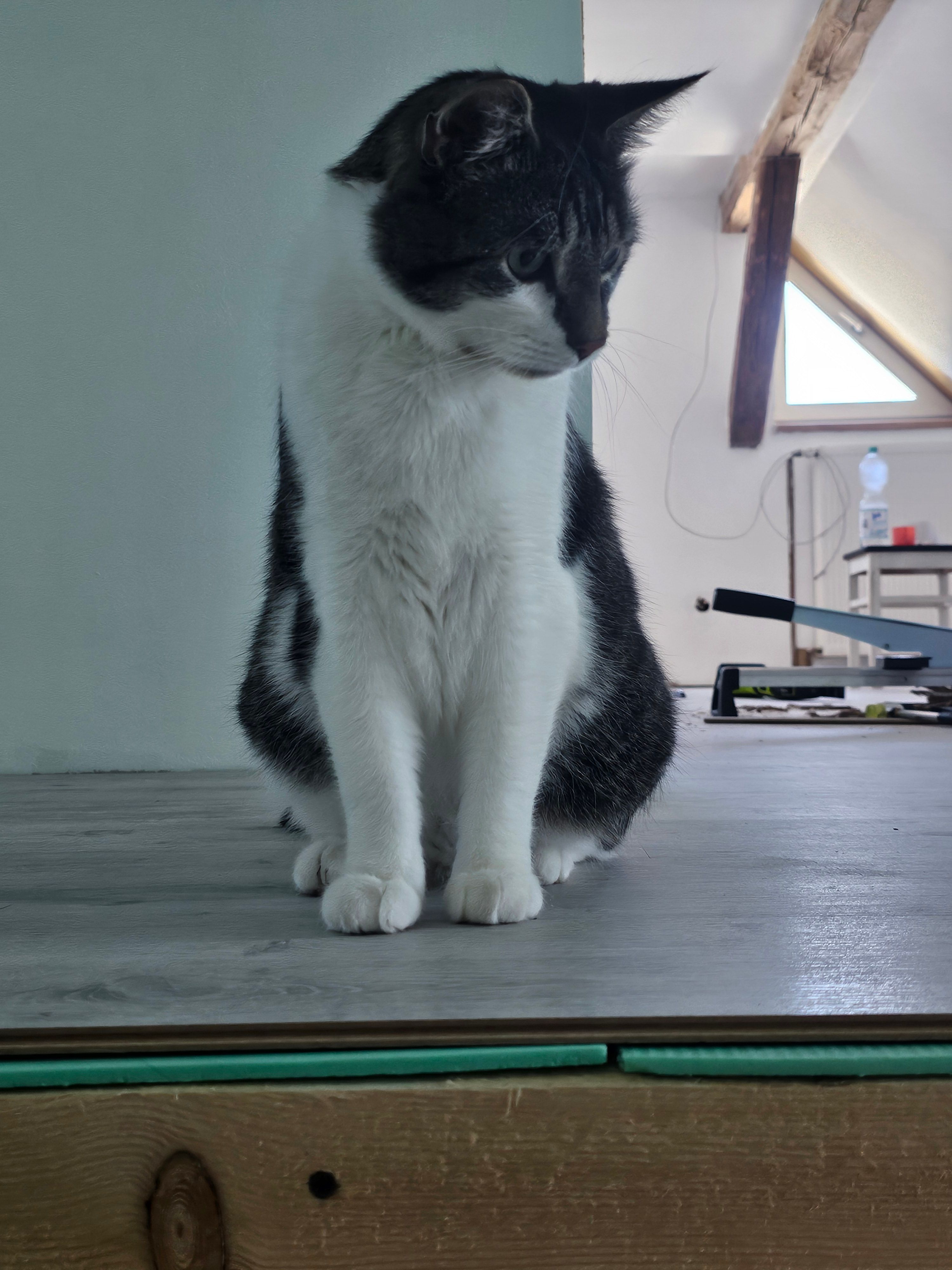 Sky - Wodarger Straße, Werder