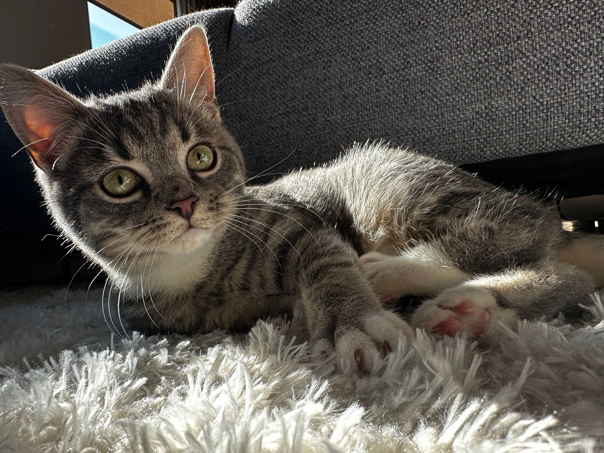 Mick - Poorterij, Leerdam