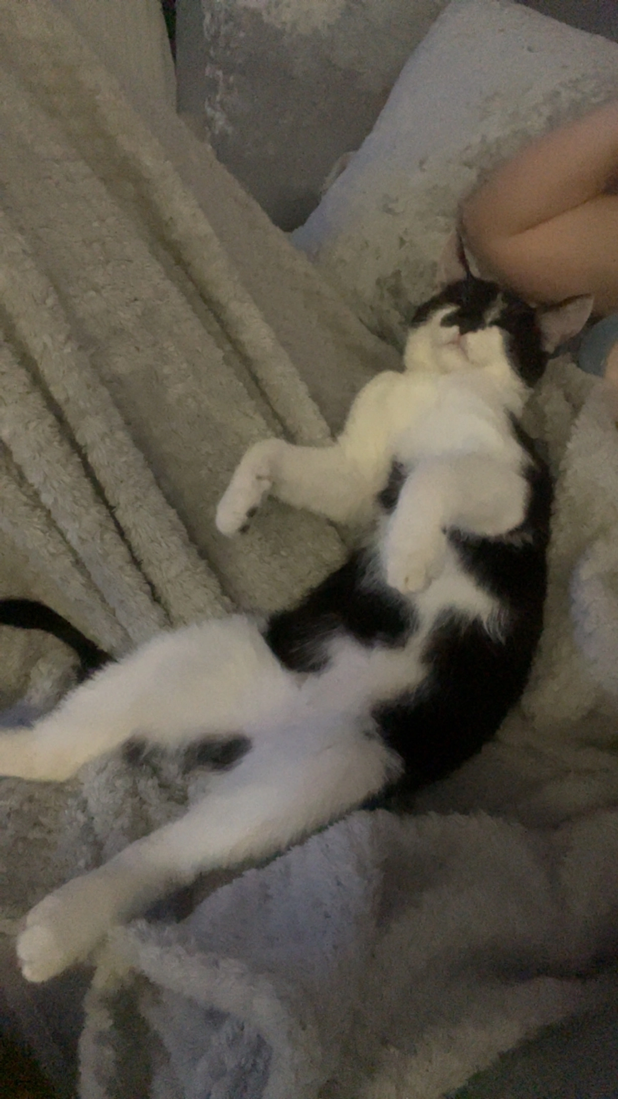 Marley - Long Crag View, Harrogate