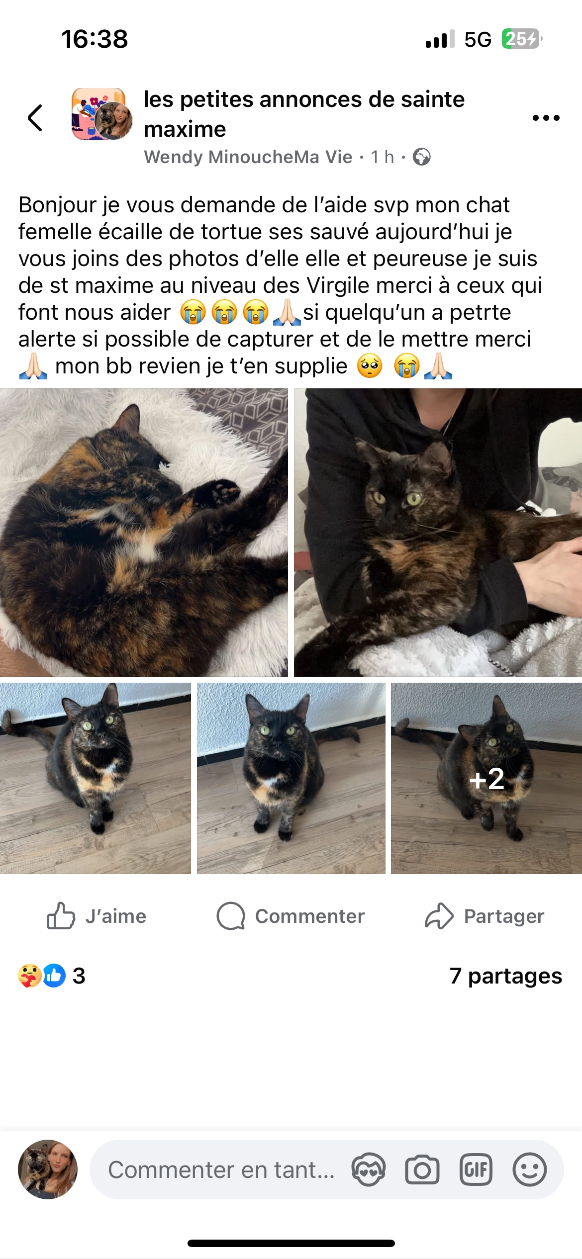 Minouche  - 7 Chemin des Virgiles, Sainte-Maxime