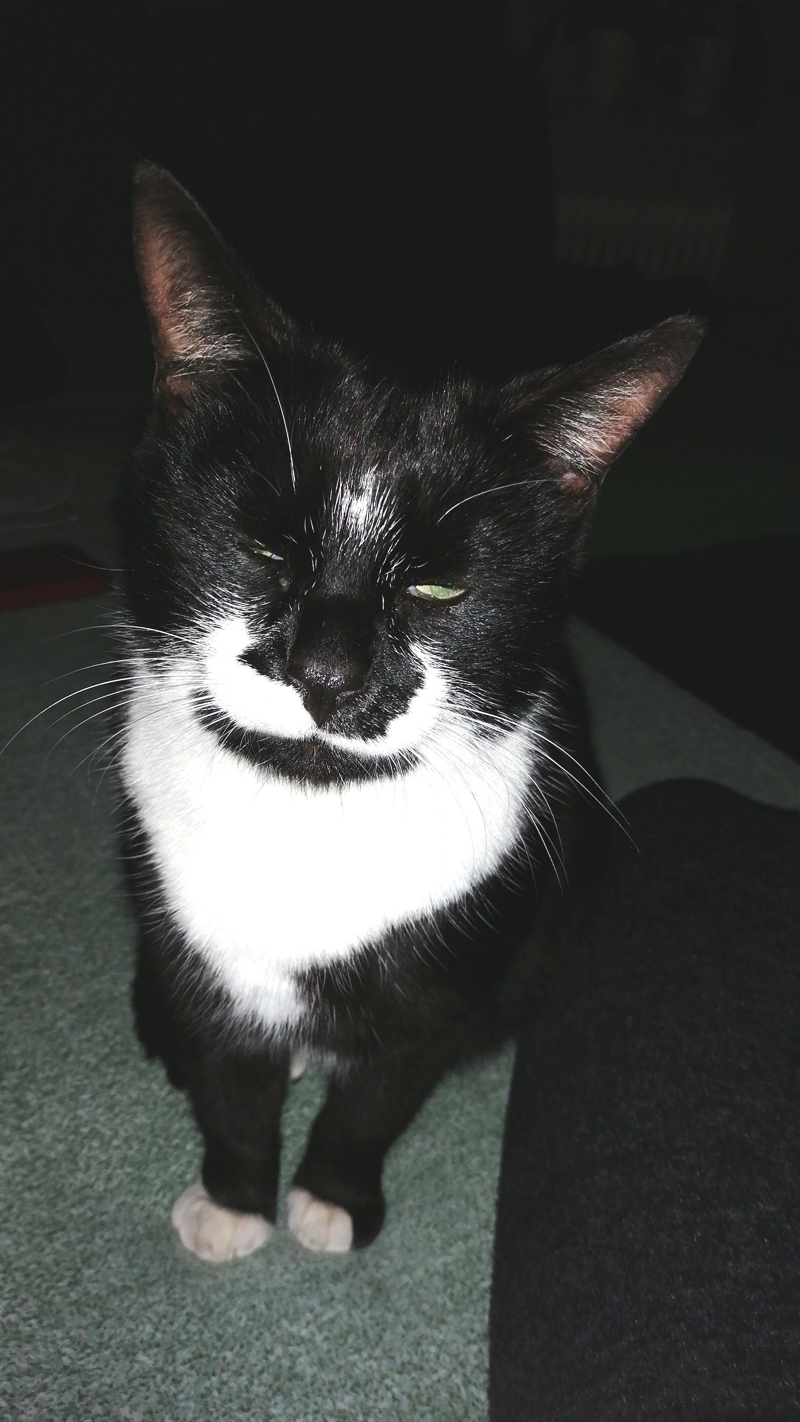 Semi - Sonnhalde, Kippenheim