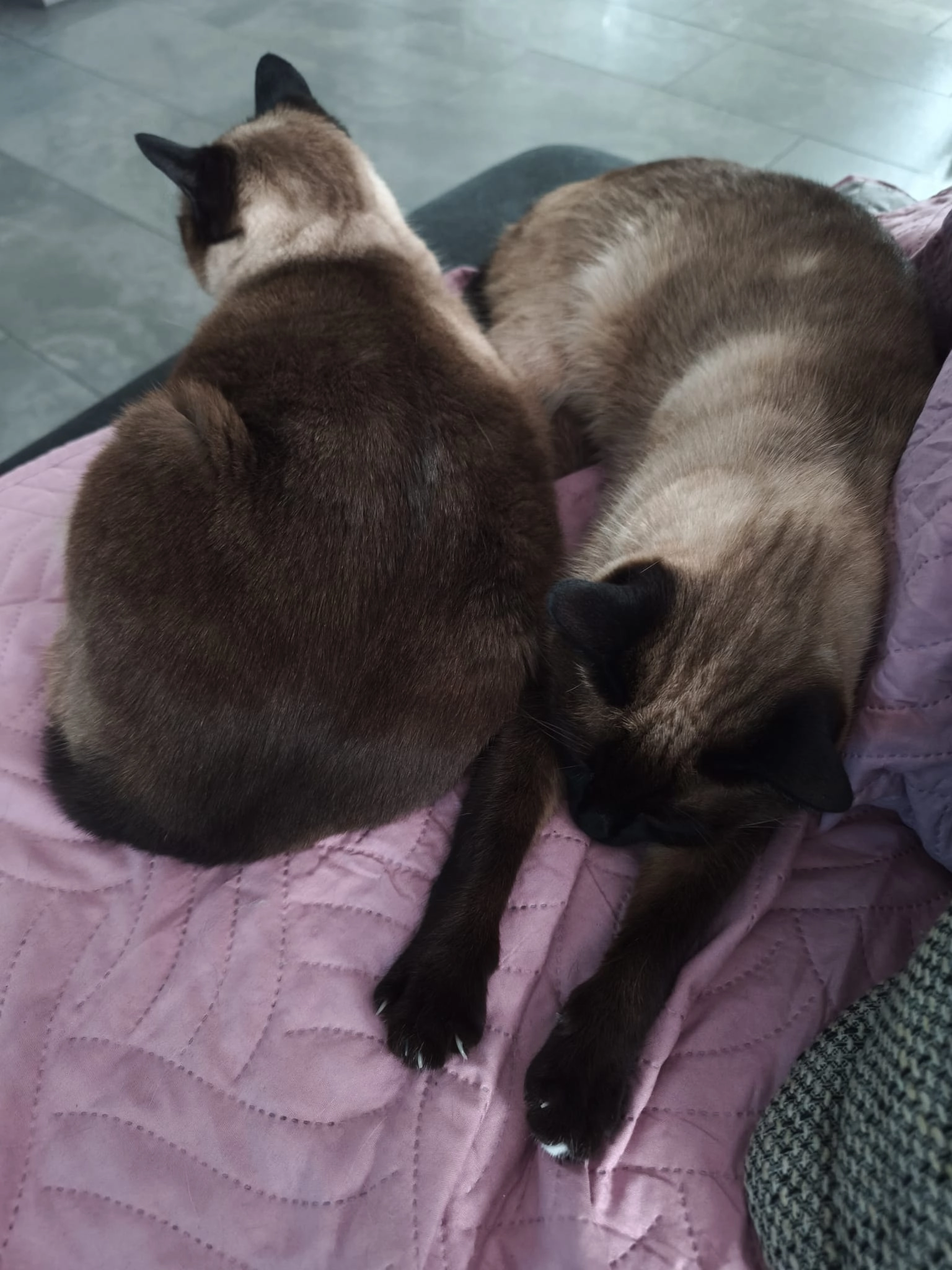 Charly - Hans-Zundtner-Weg, Memmingen