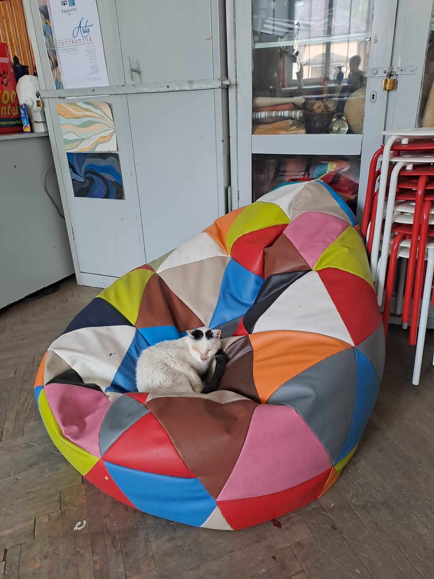 Oreo - Strada Alexandru Cel Bun, Piatra Neamț