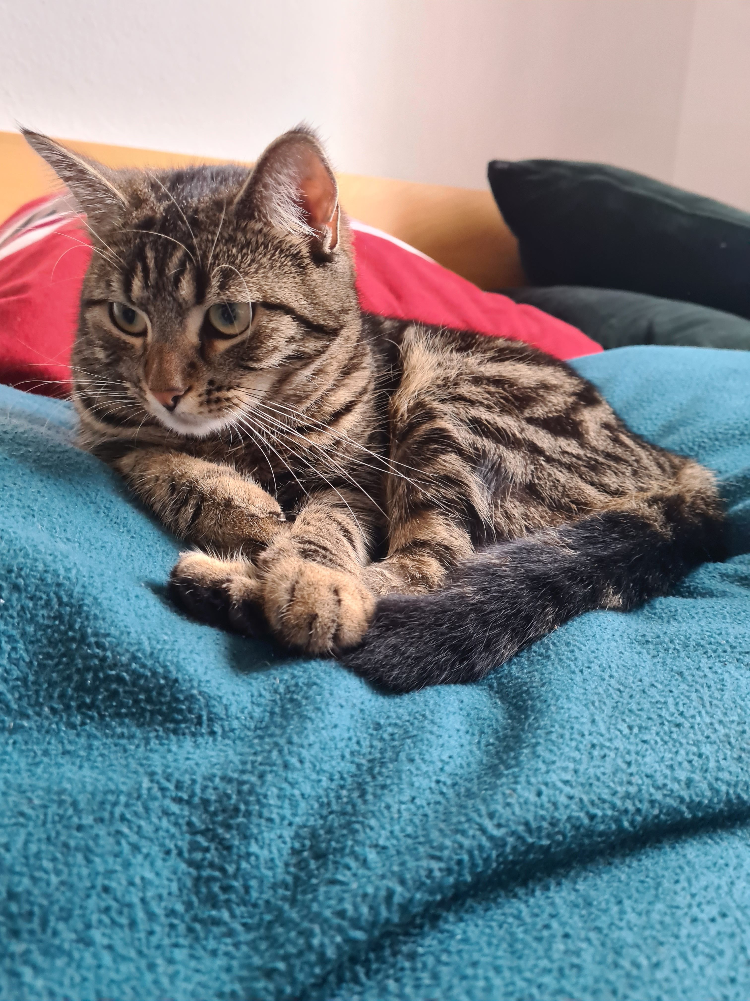 Emmi - Am Feldschlößchen, Bautzen