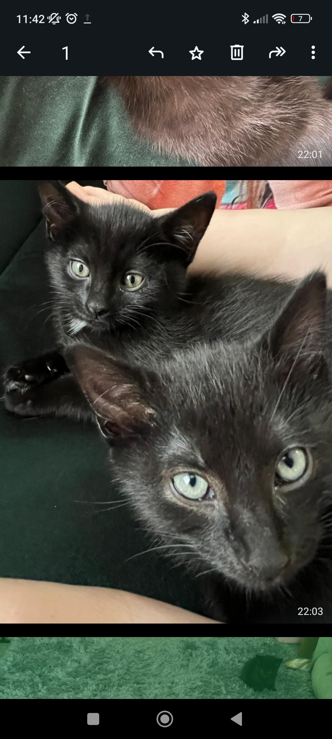 Winnie - Alexandra Road, Grimsby