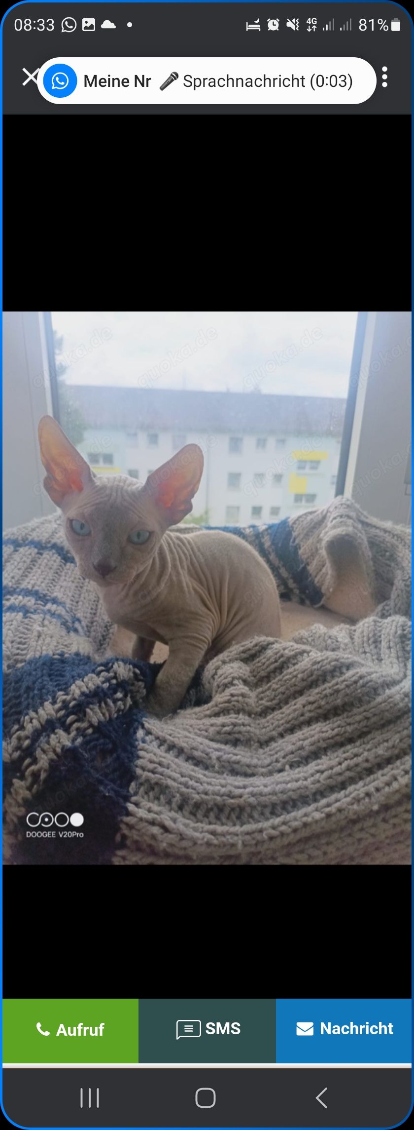 Kisik - Draunweg, Fintel