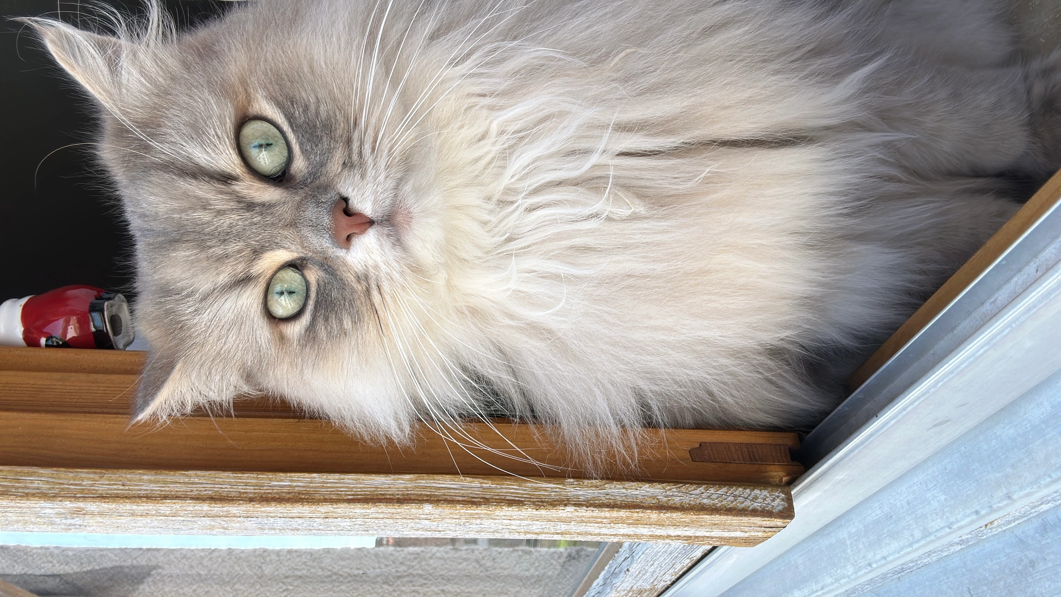 Lio - Birkenweg, Westendorf