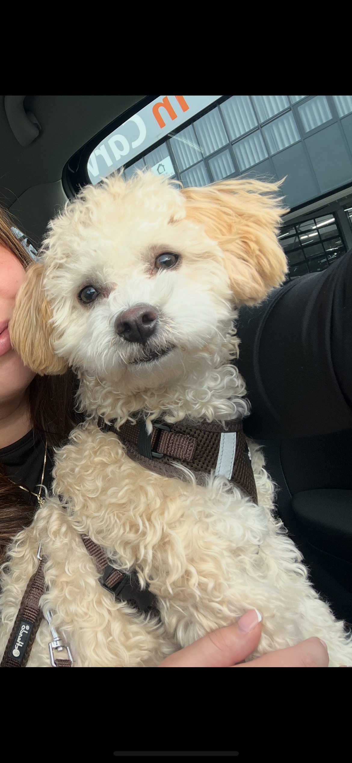 mío - Irenestraat, Sint Odiliënberg