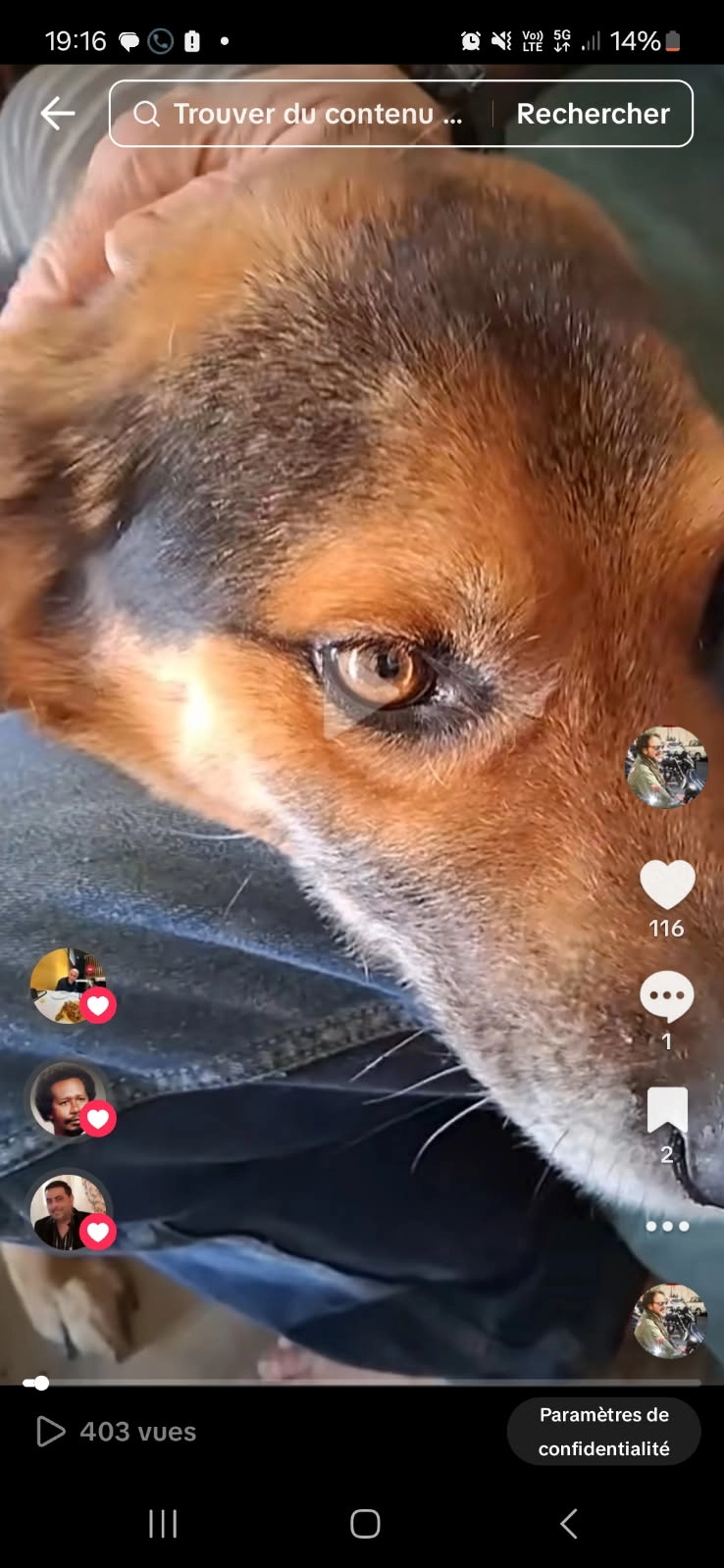 Kiko - 92 Avenue Salvador Allende, Brétigny-sur-Orge