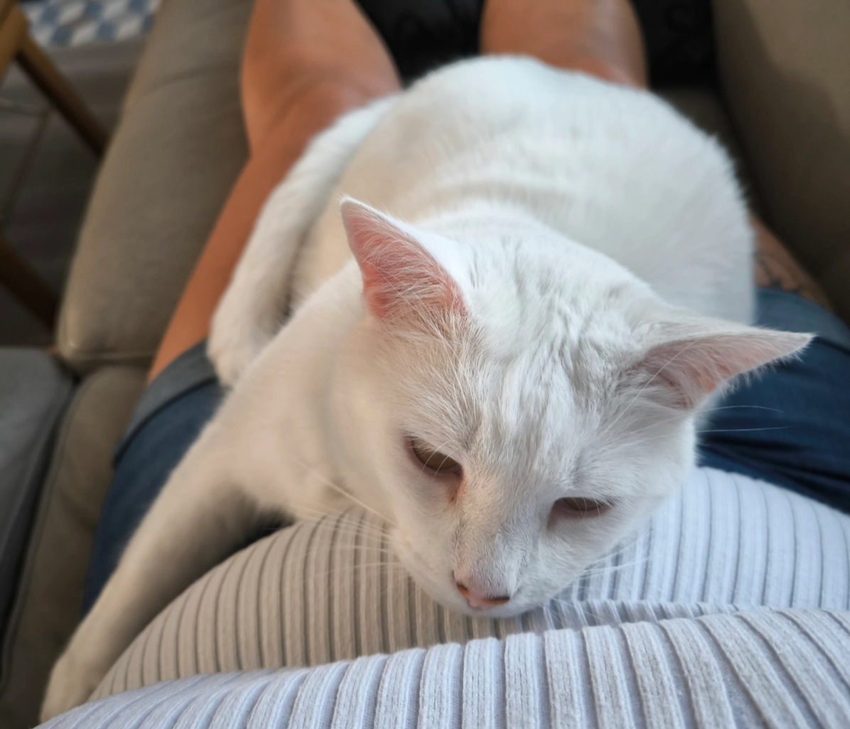 Flocon - Rue Gabriel Péri, Halluin