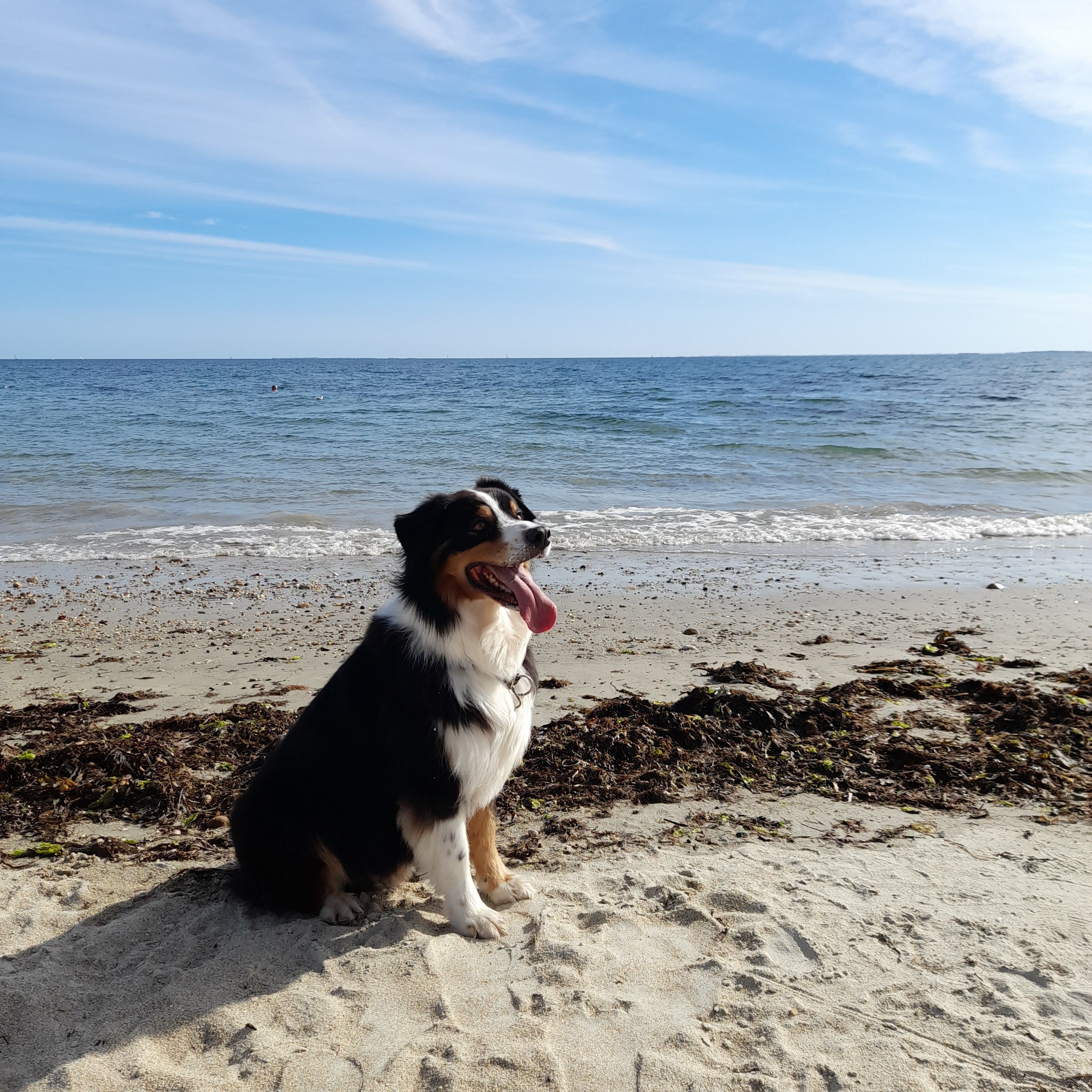 Jive  - Rue Des Bonneaux, Brannay