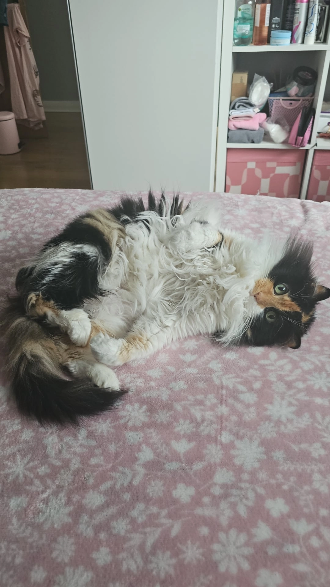 Fiona - Harthill Road, Fauldhouse