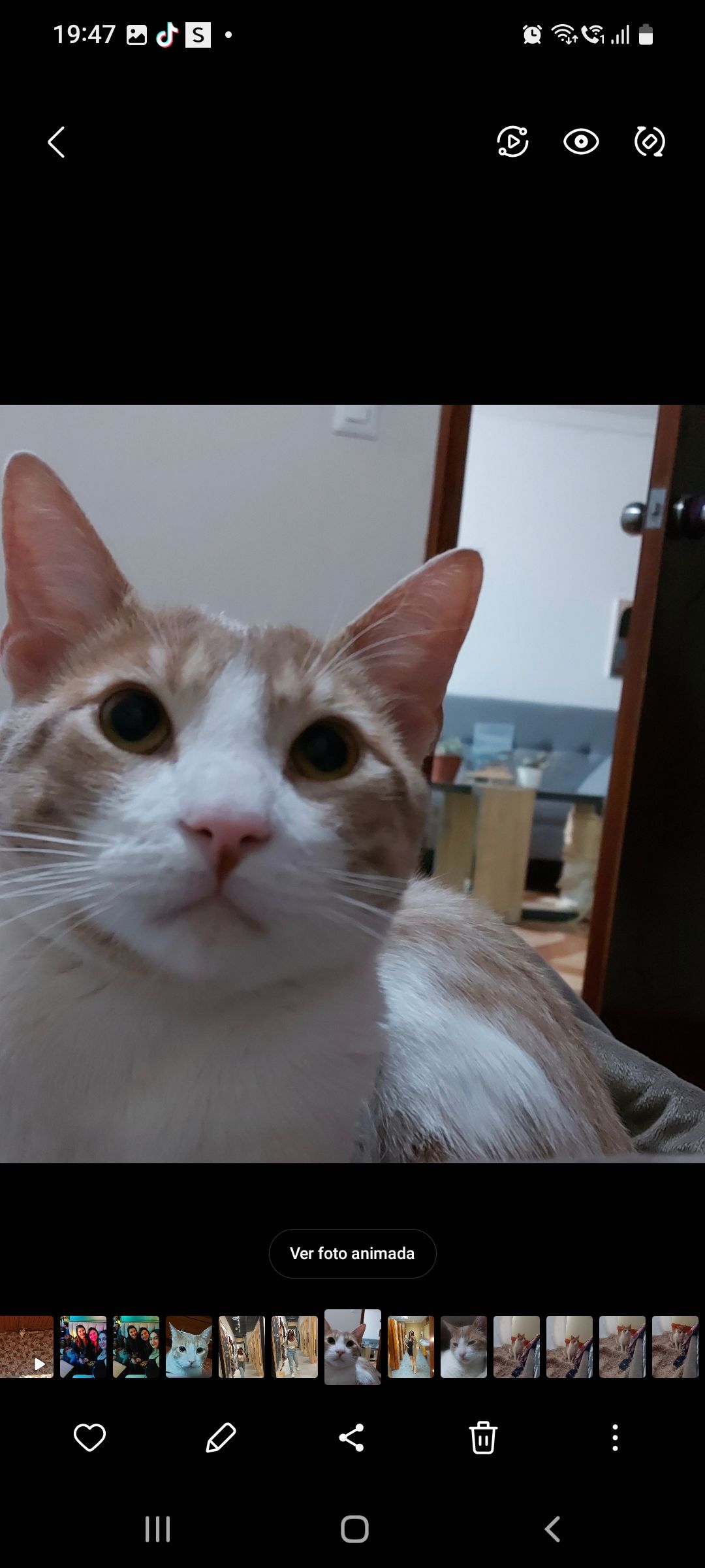 Lucky le decimos misu responde am - Calle Placeta, Canillas de Aceituno