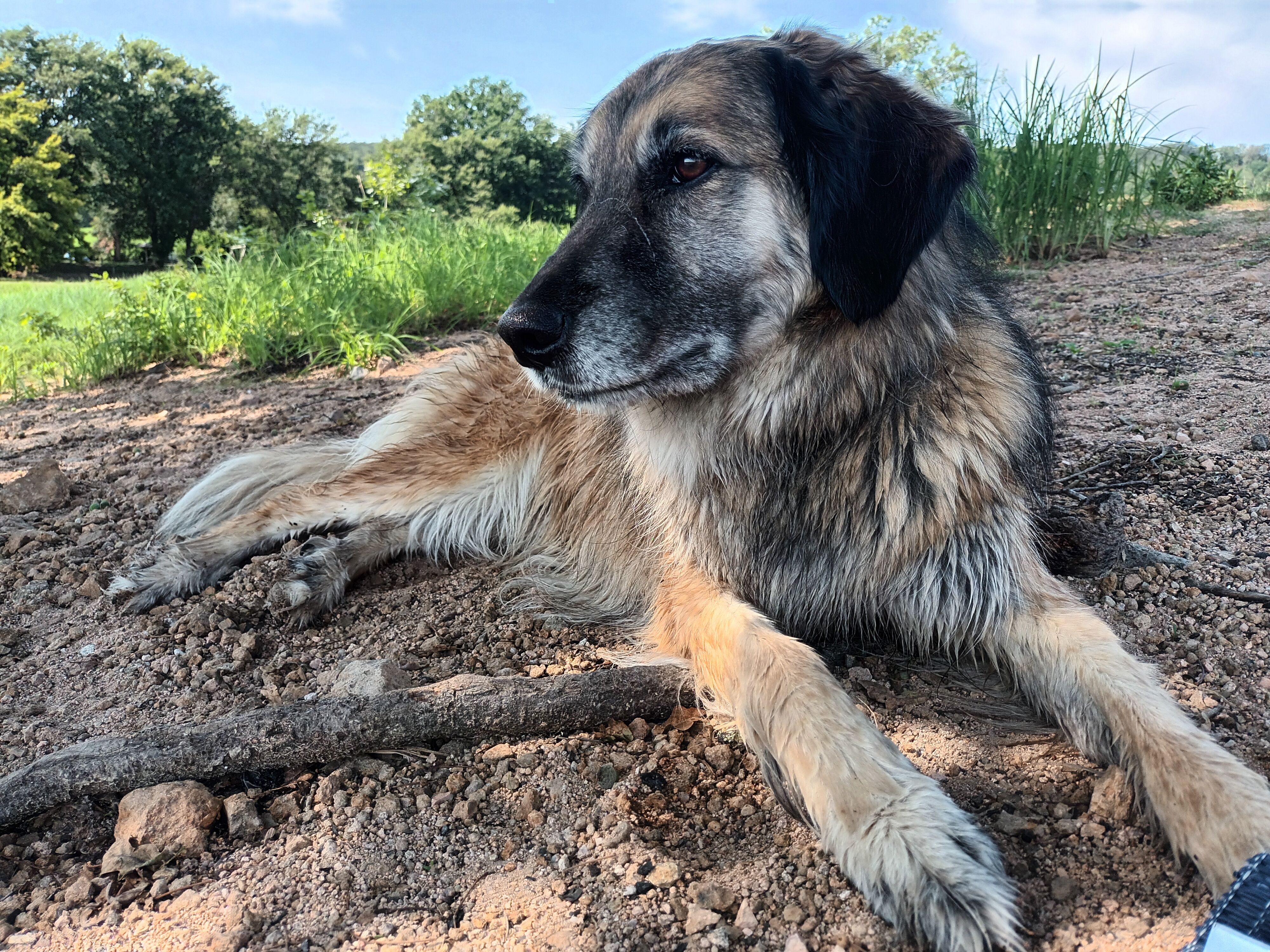 Nesquik  - 6 Rue Manet, Joué-lès-Tours