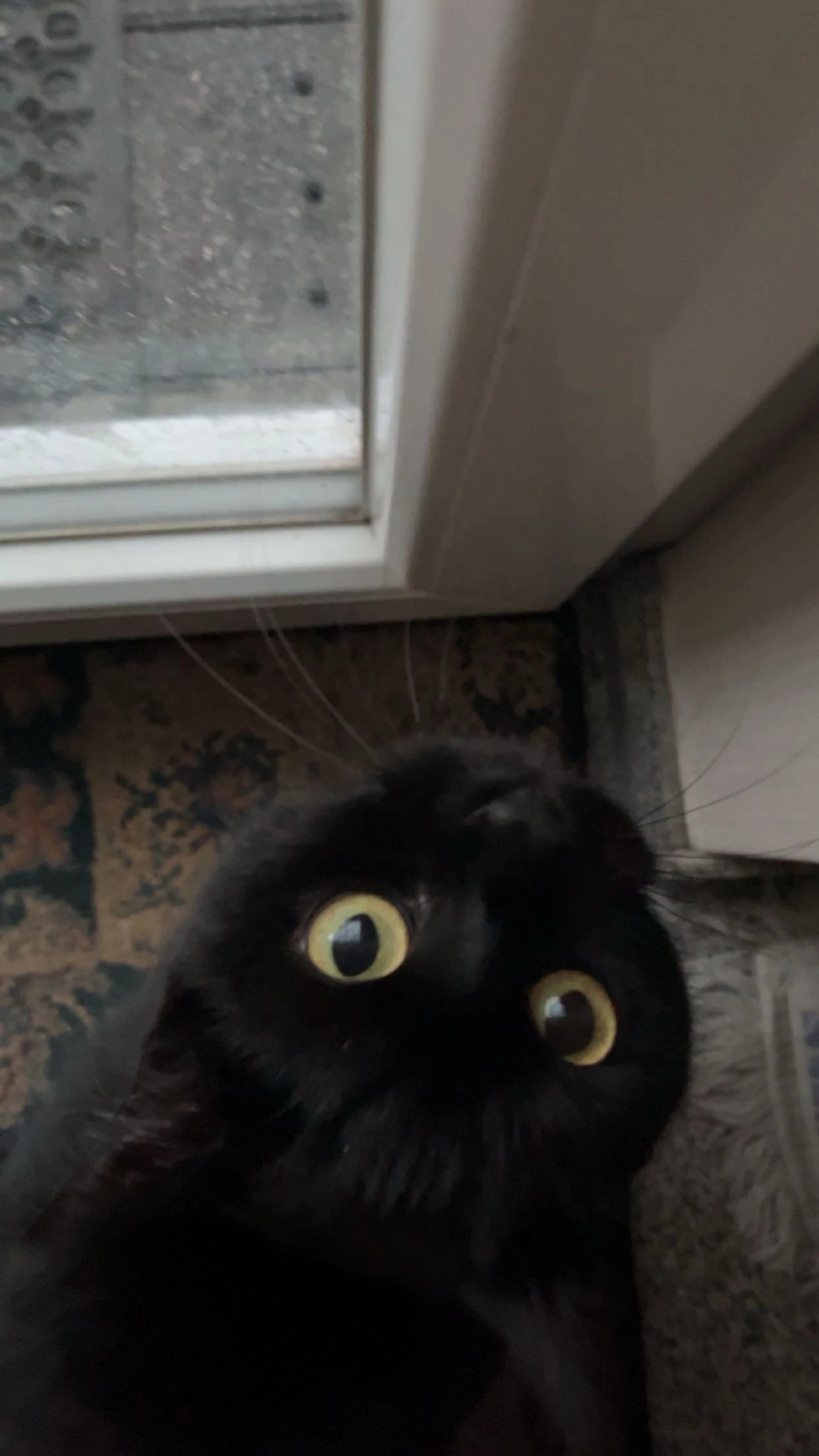 Mia - Lohmannsweide, Marienheide