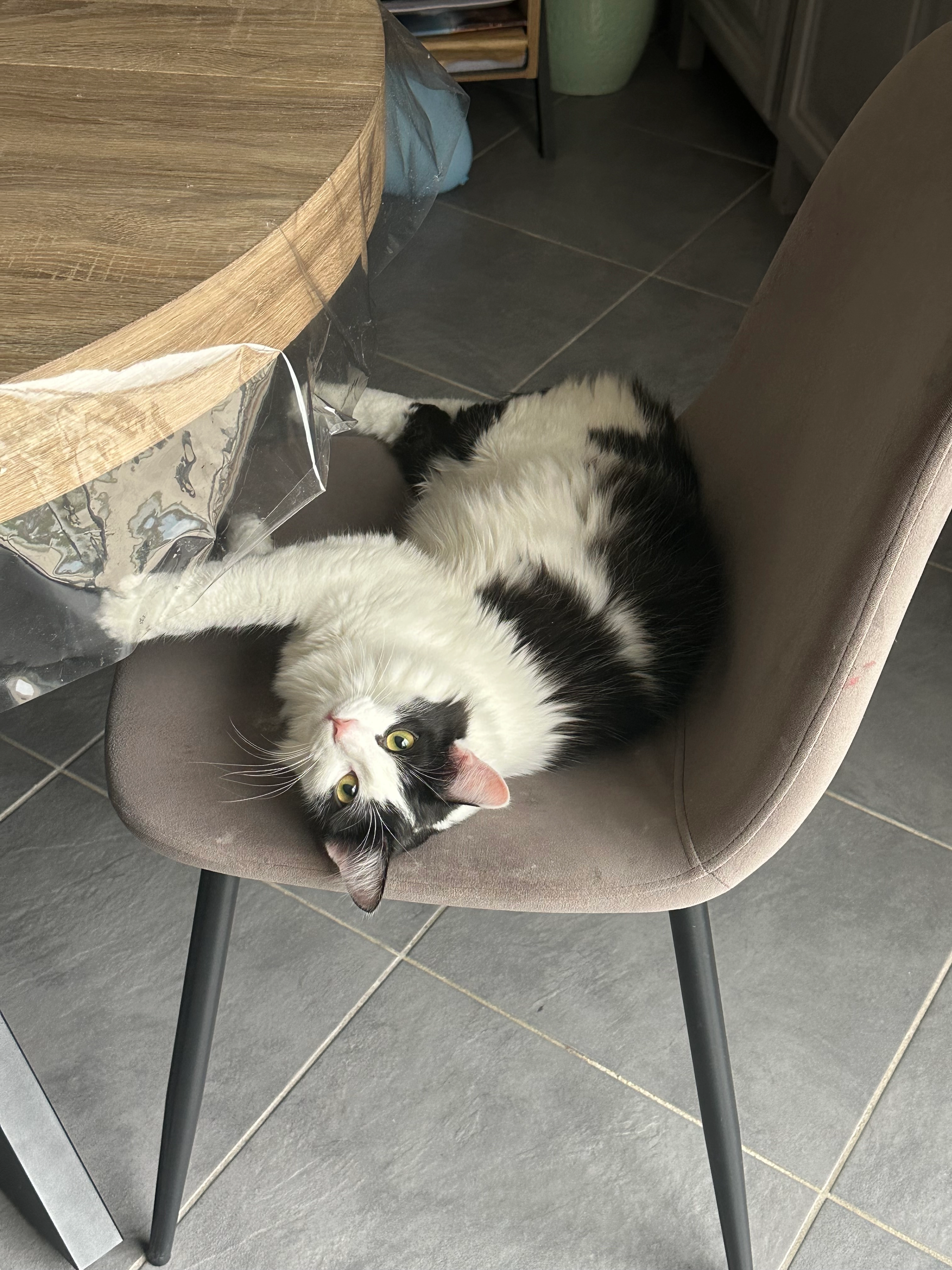 Winners  - 12 Rue sur les Étangs, Allériot