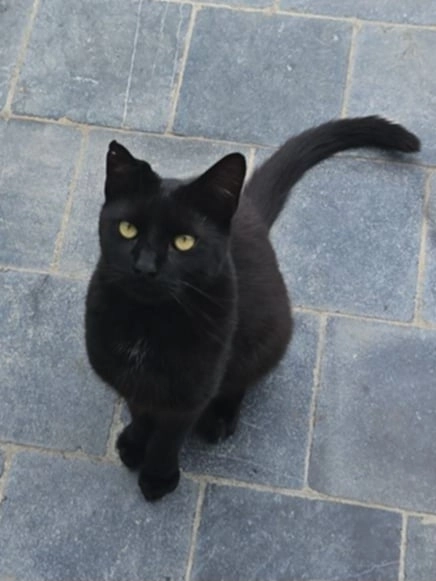 Hades - Chemin Marchand, Tournai