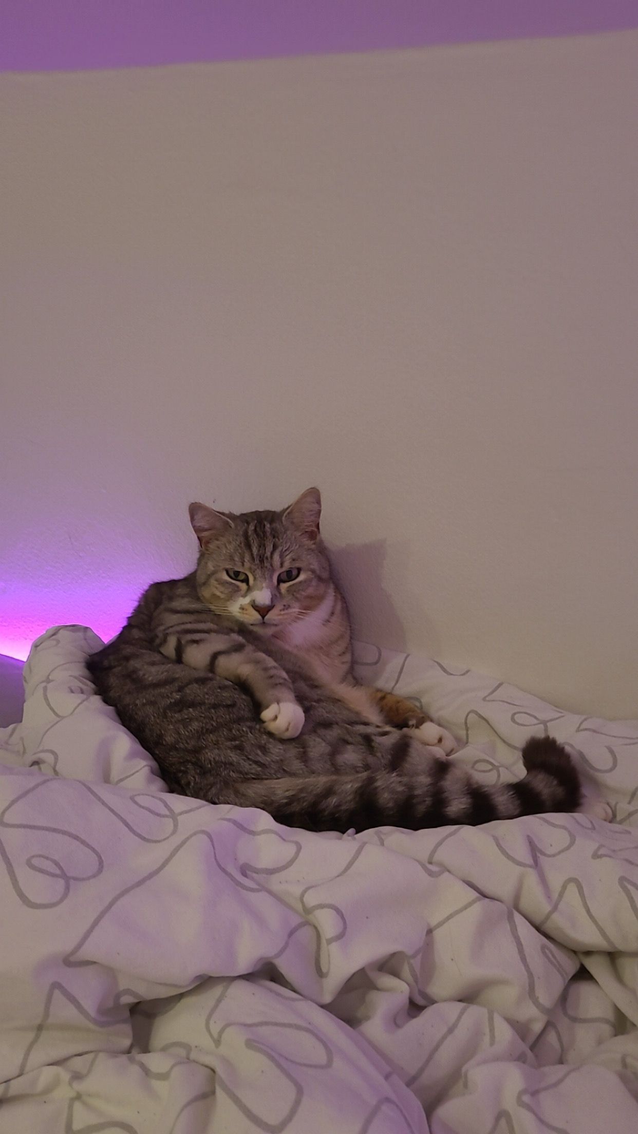 Carlos - Bökenweg, Hüllhorst