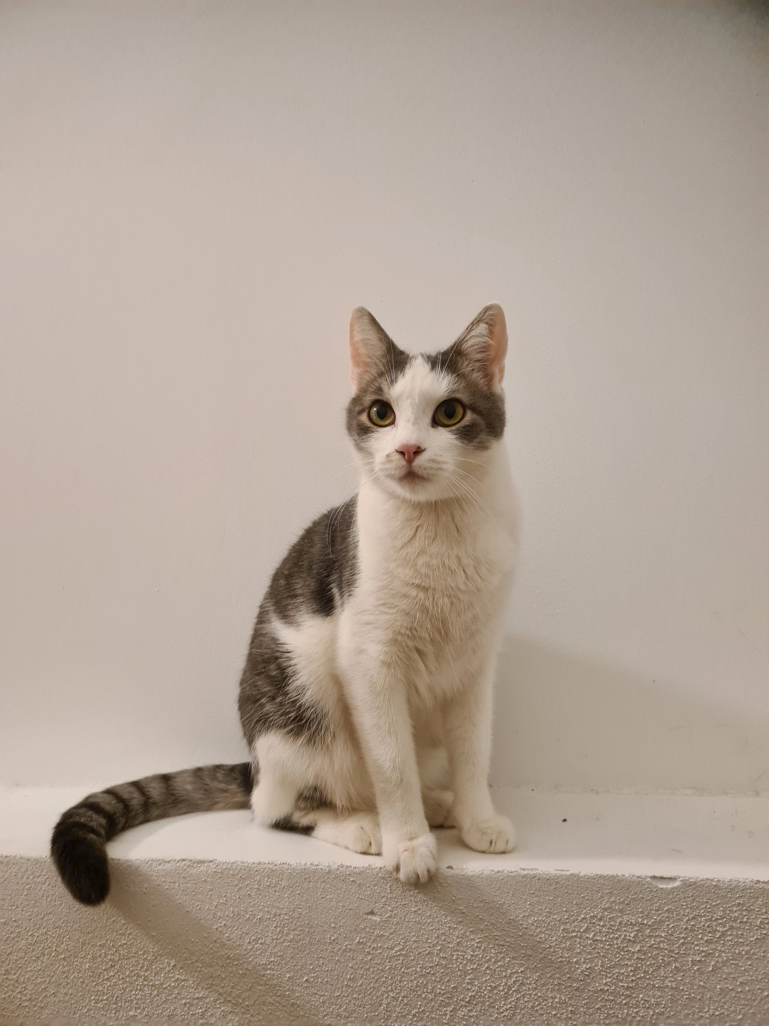 Chuii - Rehleitenweg, Rosenheim