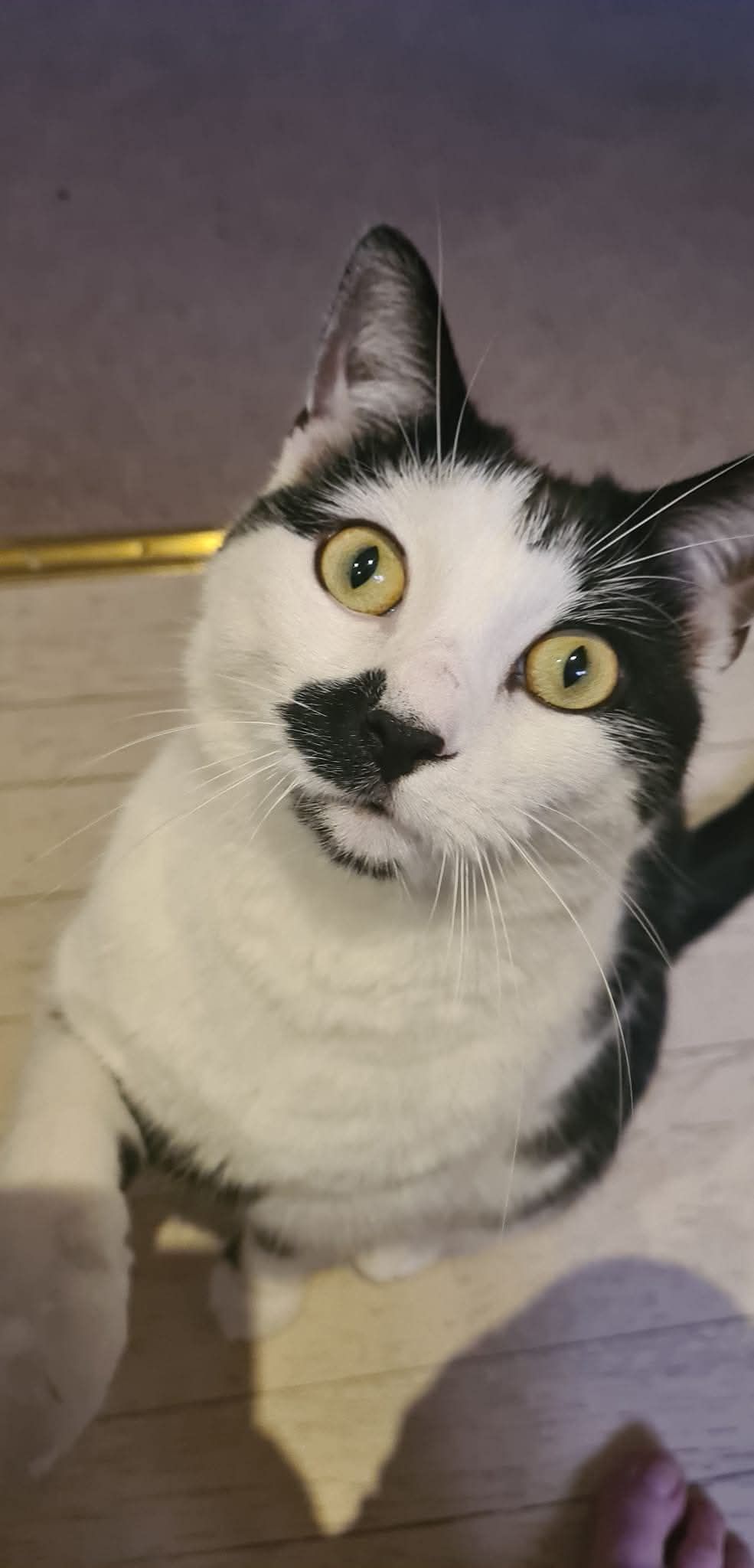 Charlie - Broadway, Sandown