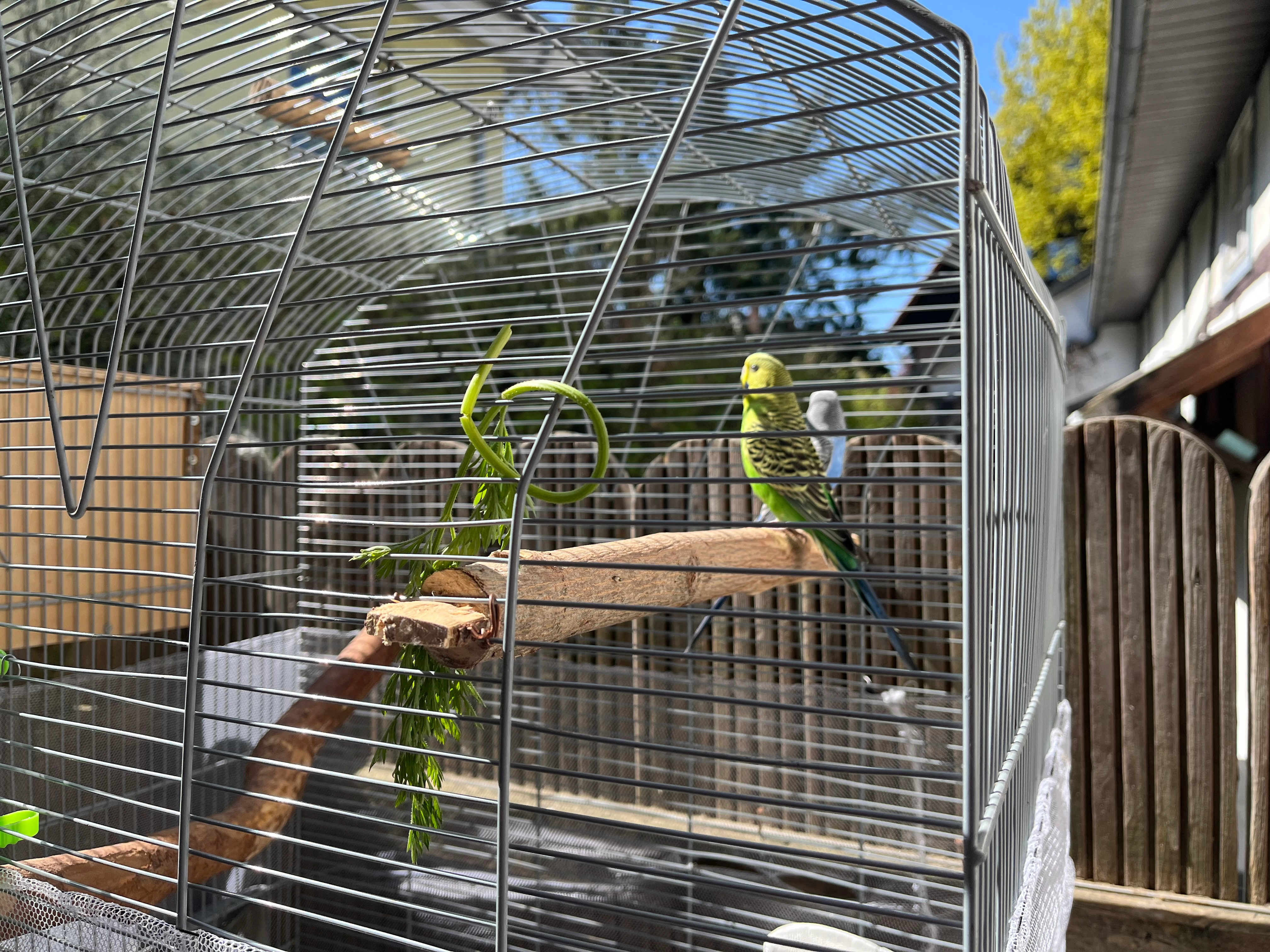 Green - Moosstraße, Rheda-Wiedenbrück