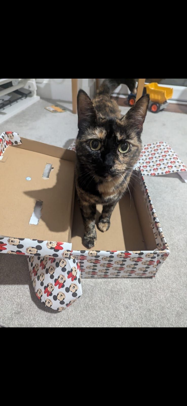 Evie - Hawthorne Avenue, Broadstairs