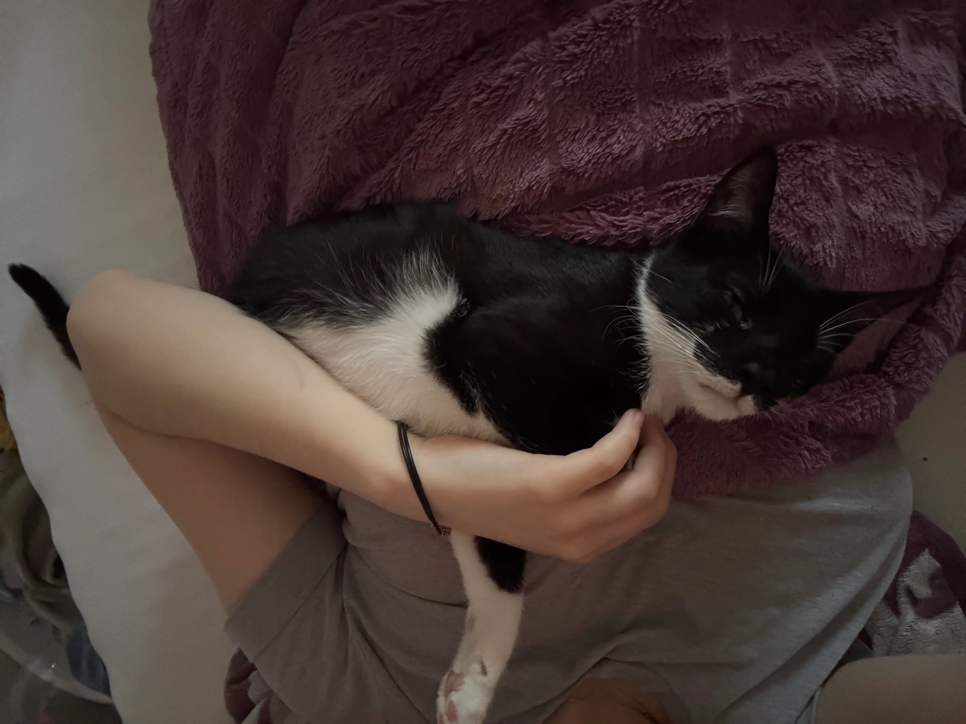 Cambert - Hackenbeek, Salzgitter