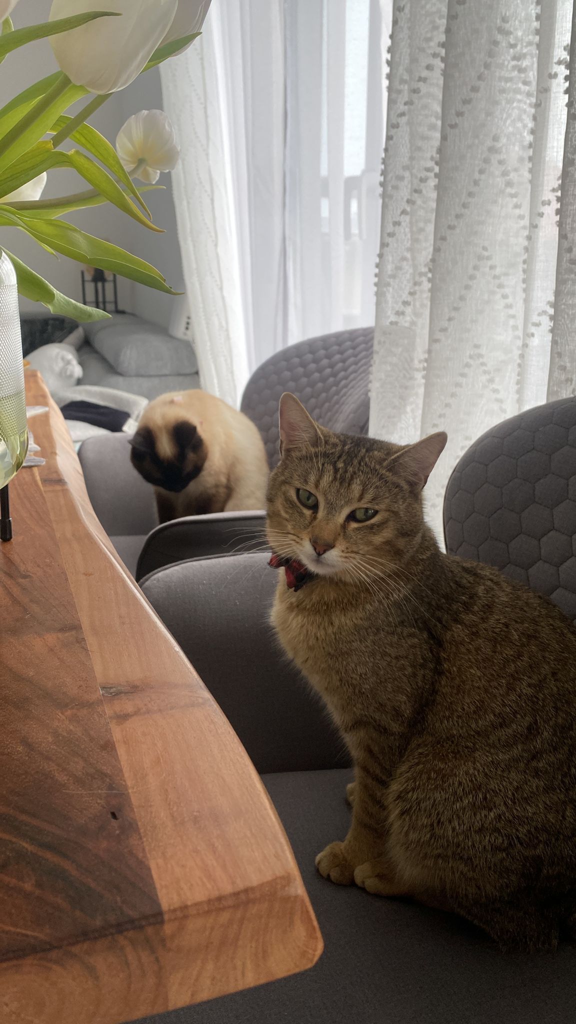 Luki  - Hopfengarten, Schöningen