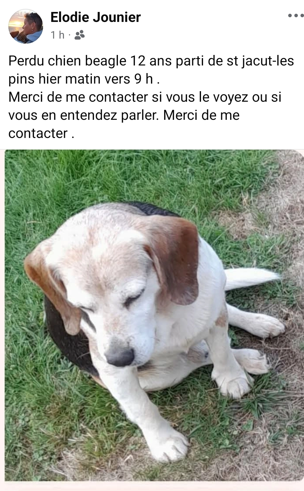 Ivoire - Impasse Du Courtil Moret, Saint-Jacut-les-Pins