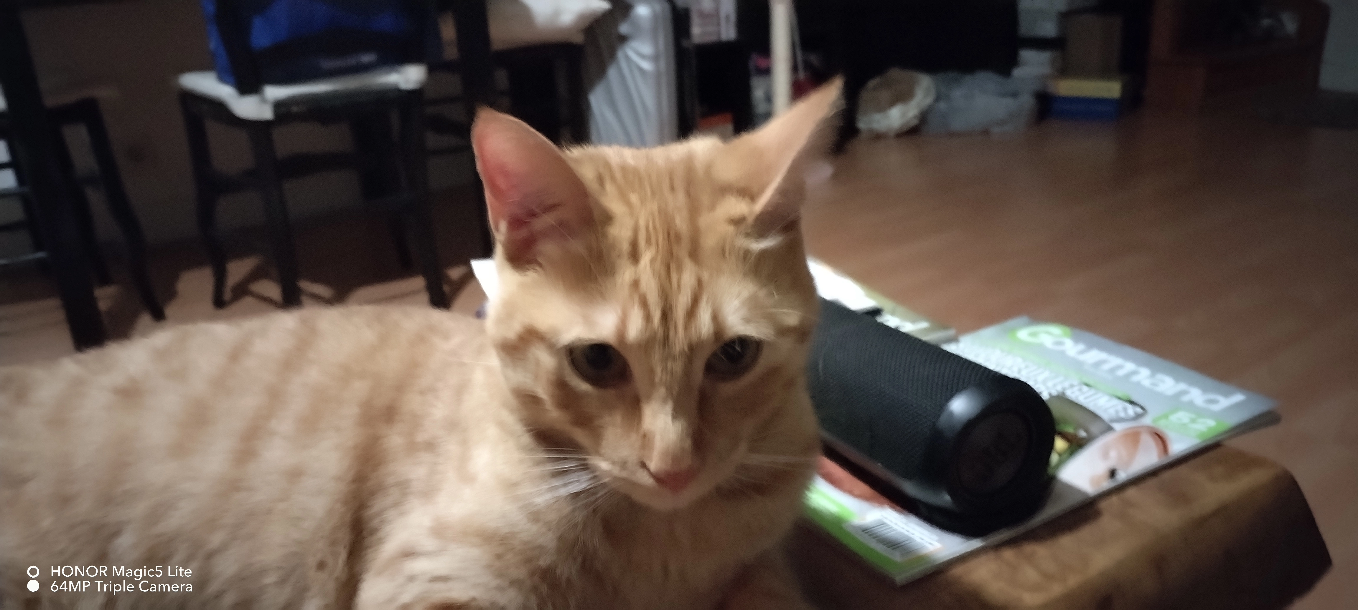 Caramel - Rue De La Fontaine, Gouvernes