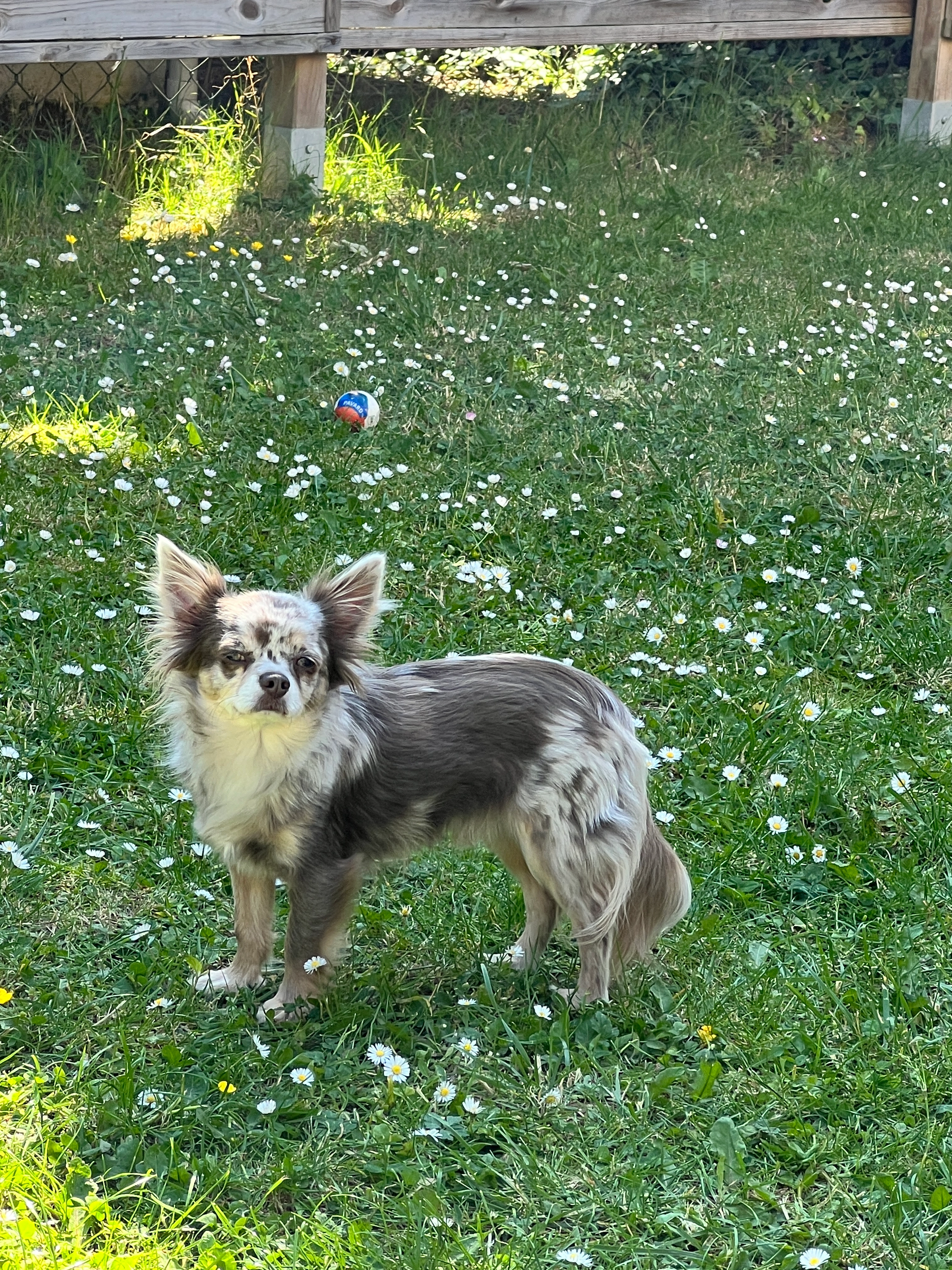 Aston - 15 Rue des Charmes, Lieusaint