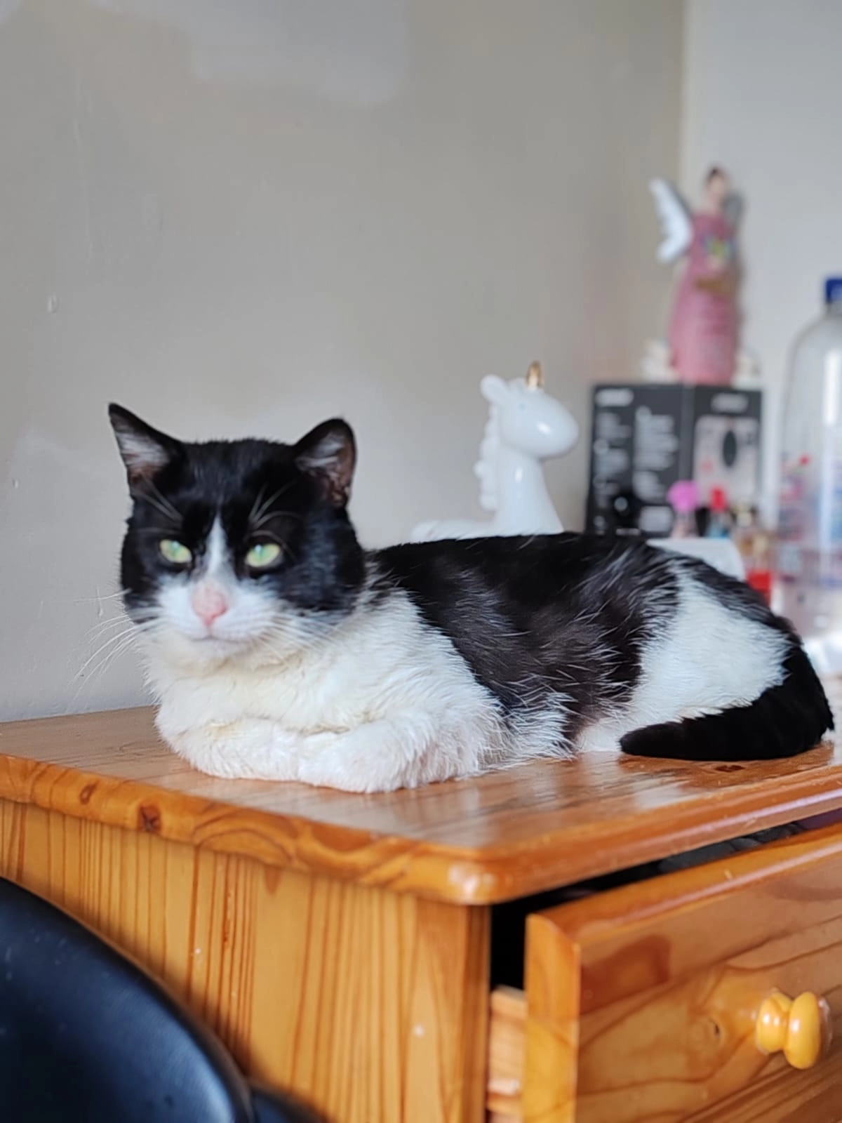 Neo - Oakmount Drive, Belfast