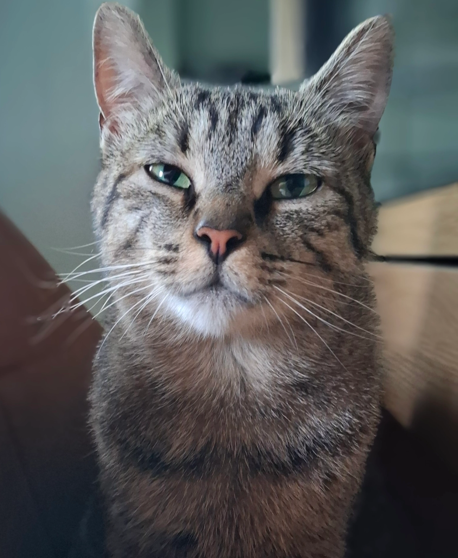 Luna - Rue des Trois Fontaines, Charleroi