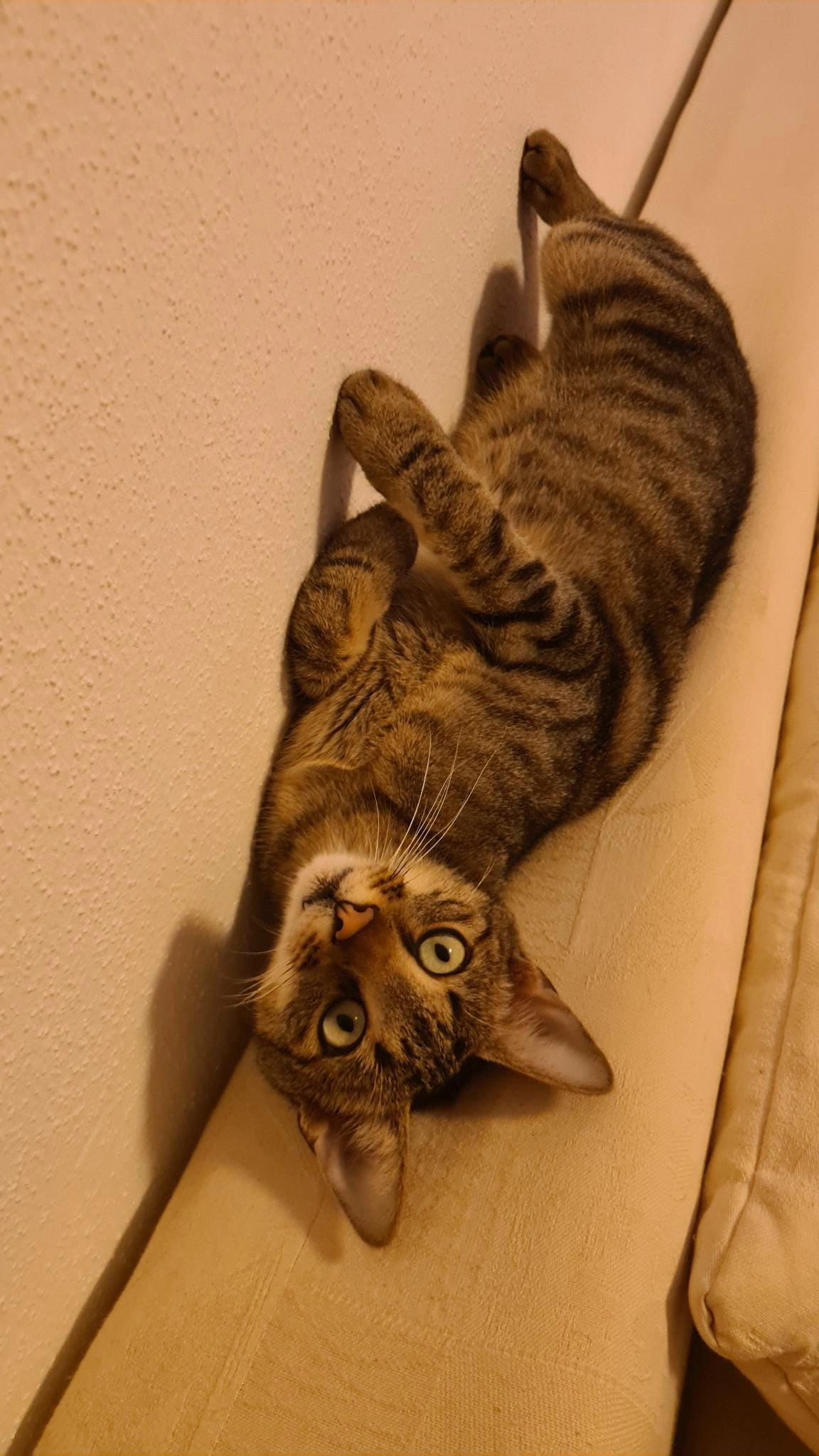 Lisa - Akeleistraße, Bad Tölz