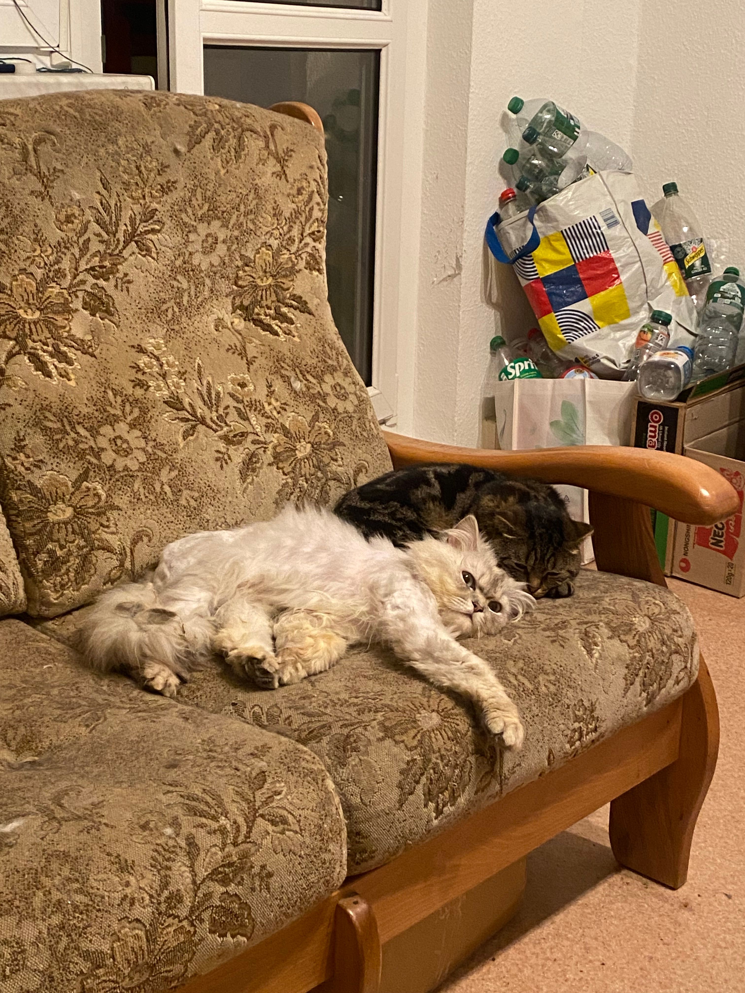 Butter - Bebraer Straße, Friedrichroda